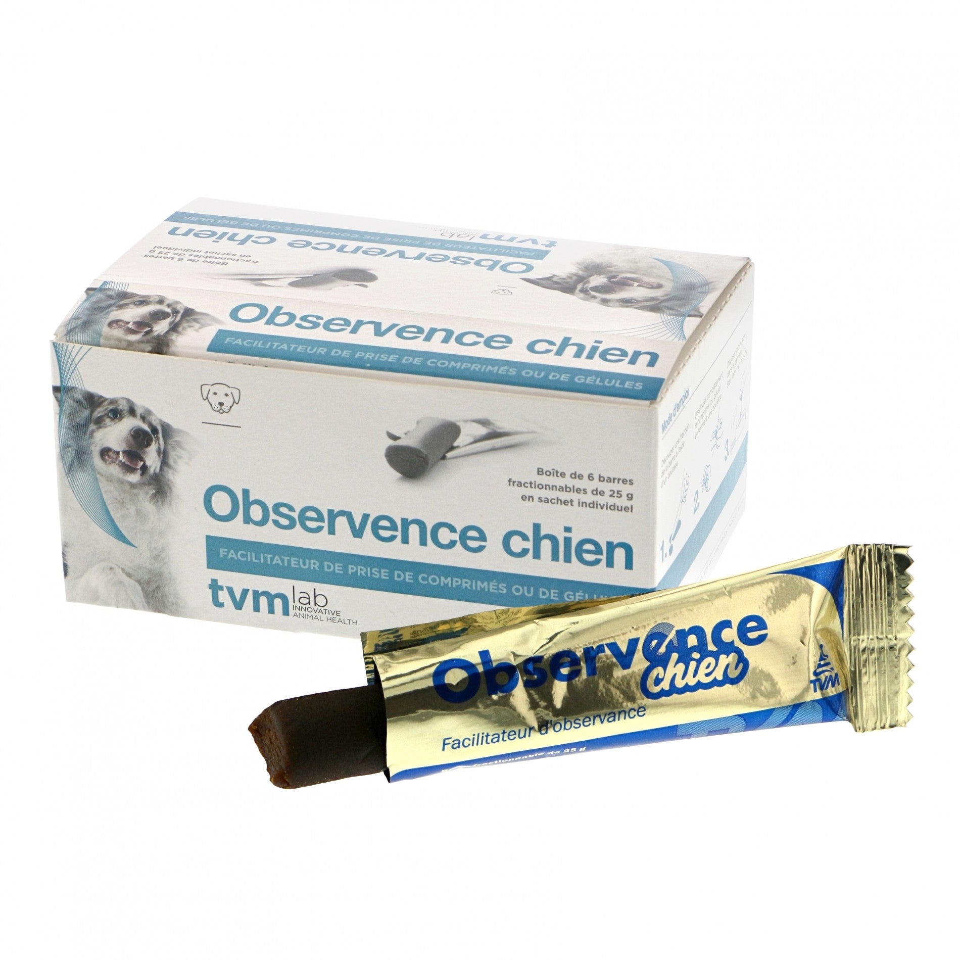 Observence chien