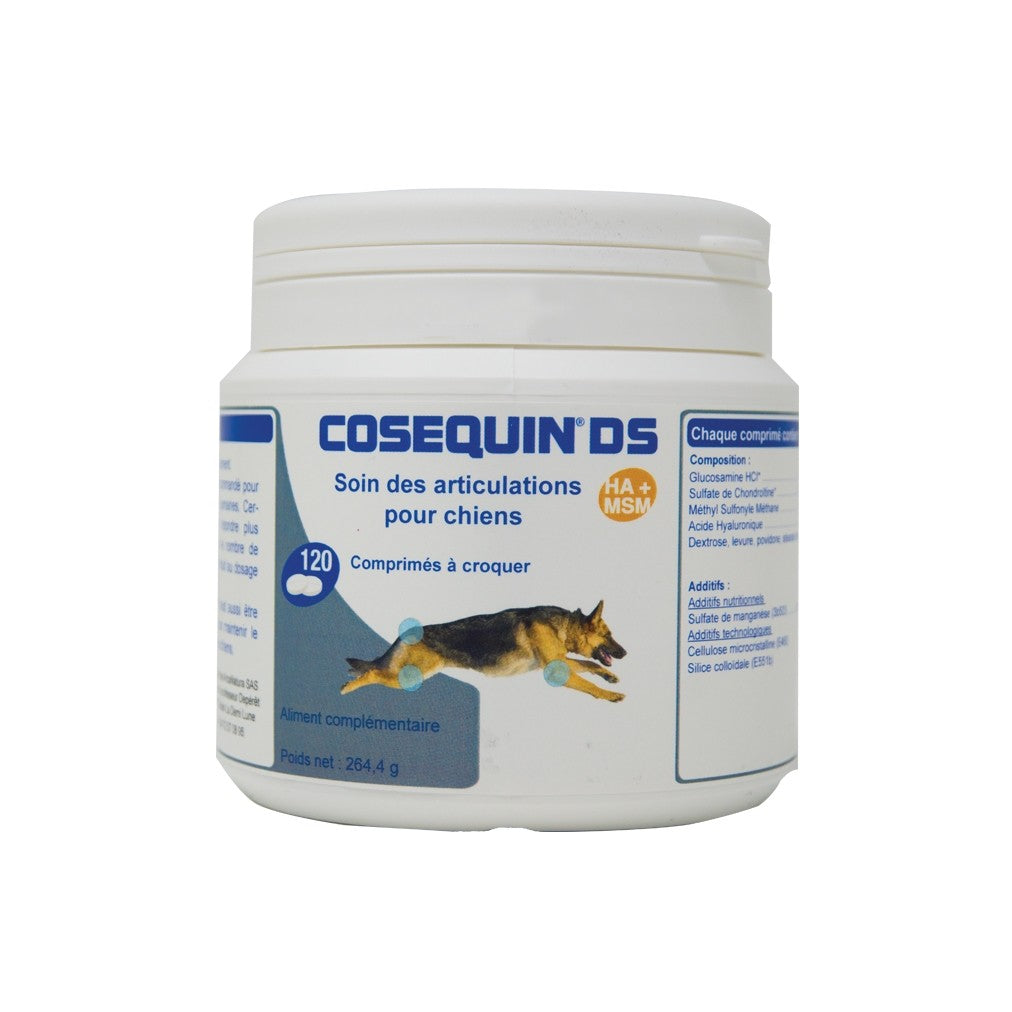 Coséquin DS chien