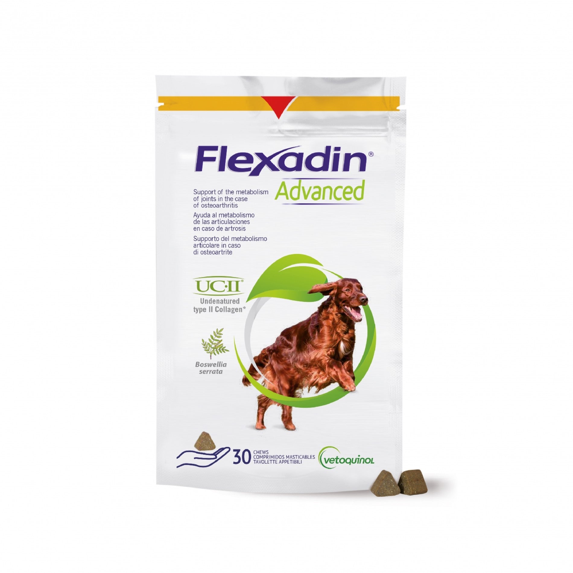 Flexadin Advanced chien