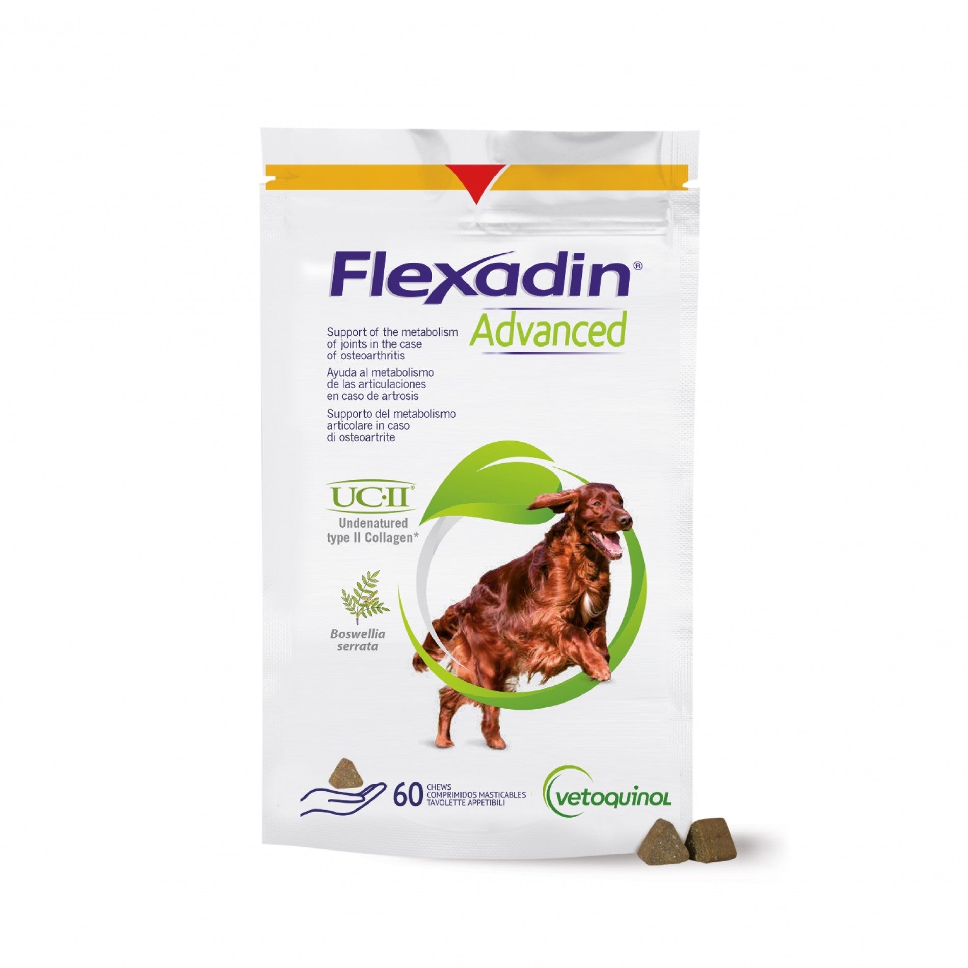 Flexadin Advanced chien