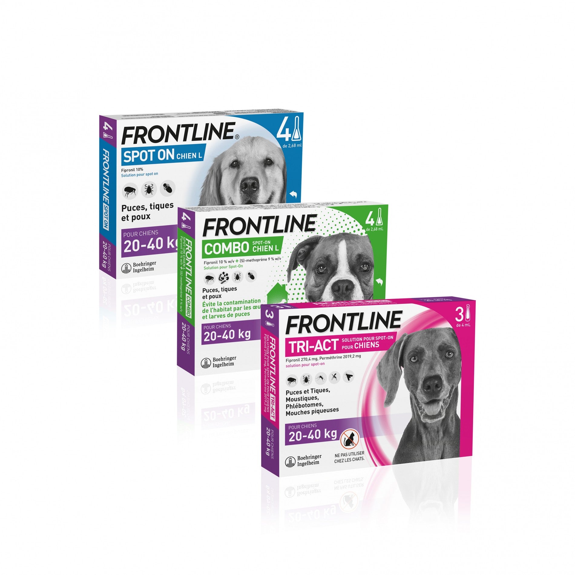 Pipettes Frontline Tri-act chien