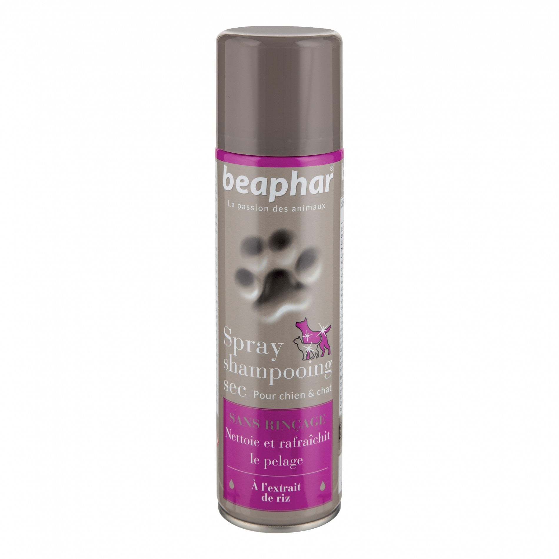 Spray Shampooing sec