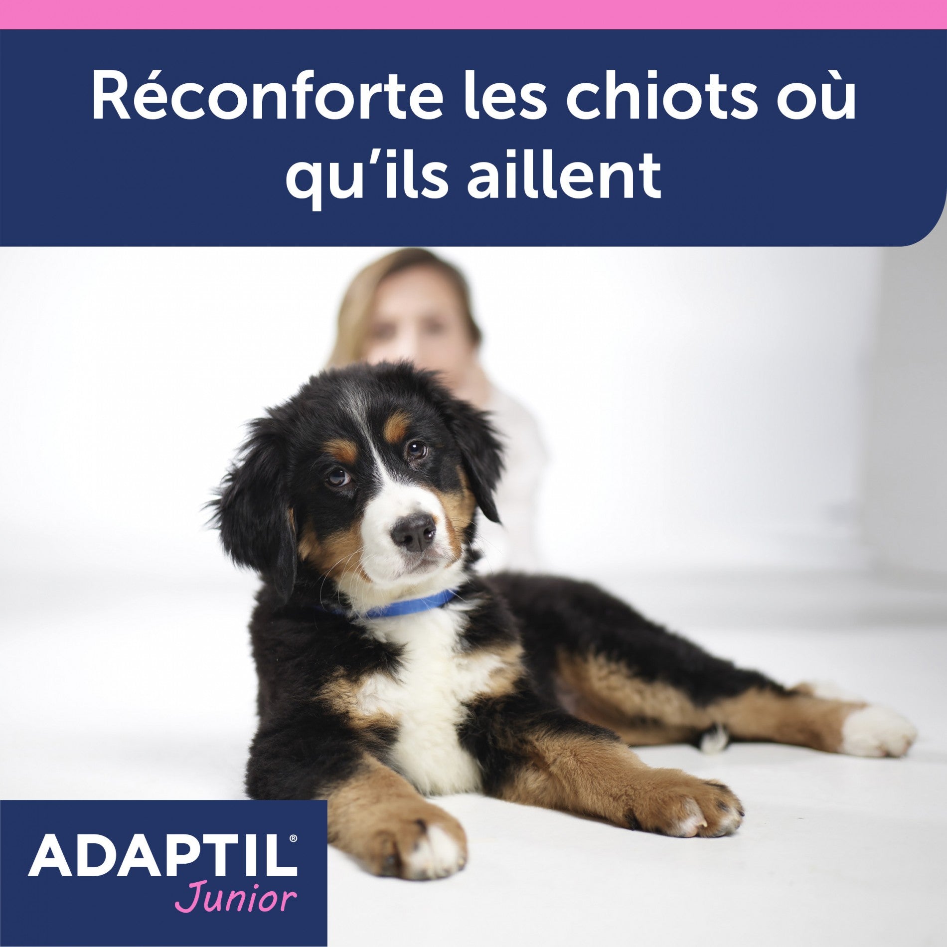 ADAPTIL® Junior collier