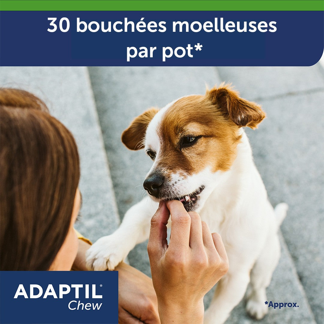 ADAPTIL® Chew
