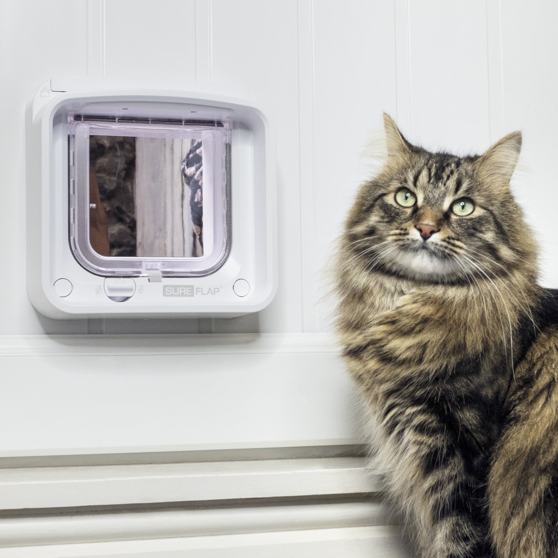 Chatière électronique Connect SureFlap