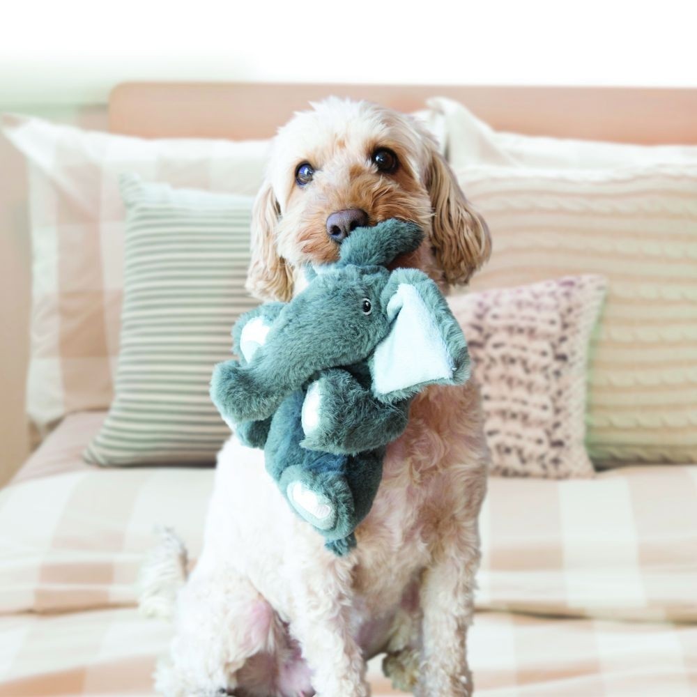Peluche Comfort Kiddos KONG
