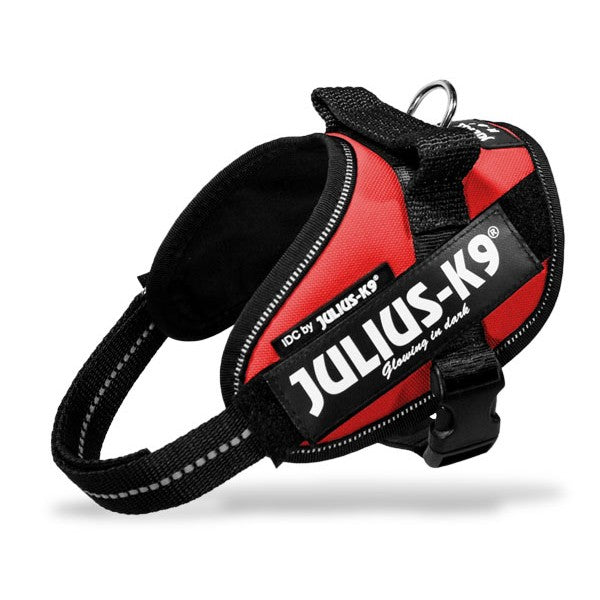 Harnais IDC Power rouge chien
