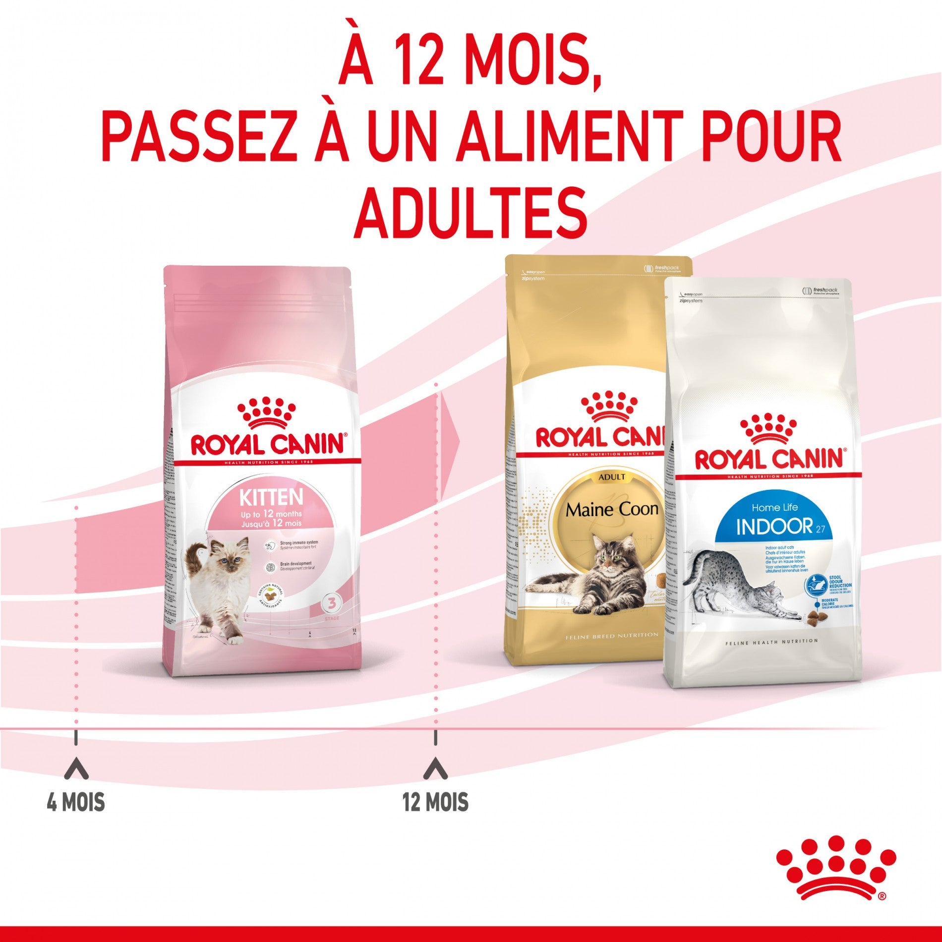 Royal Canin Kitten Second Age - croquettes chaton