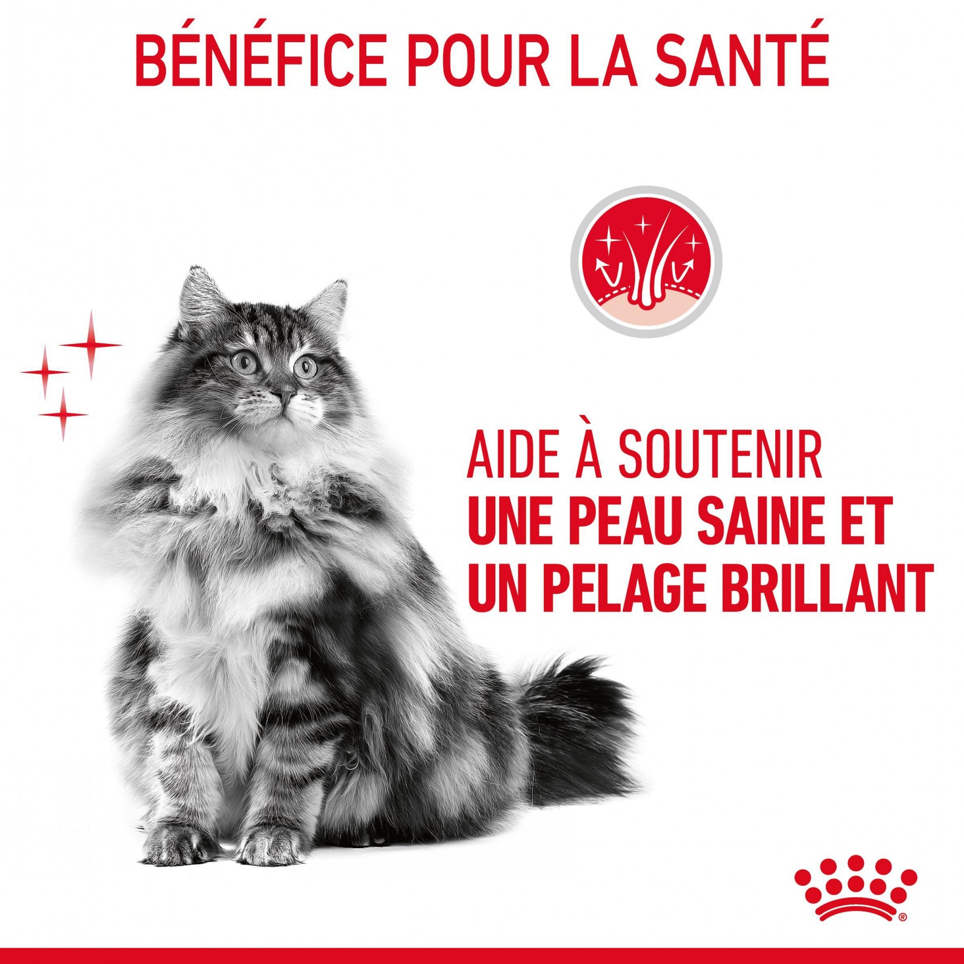 Royal Canin Hair & Skin Care
