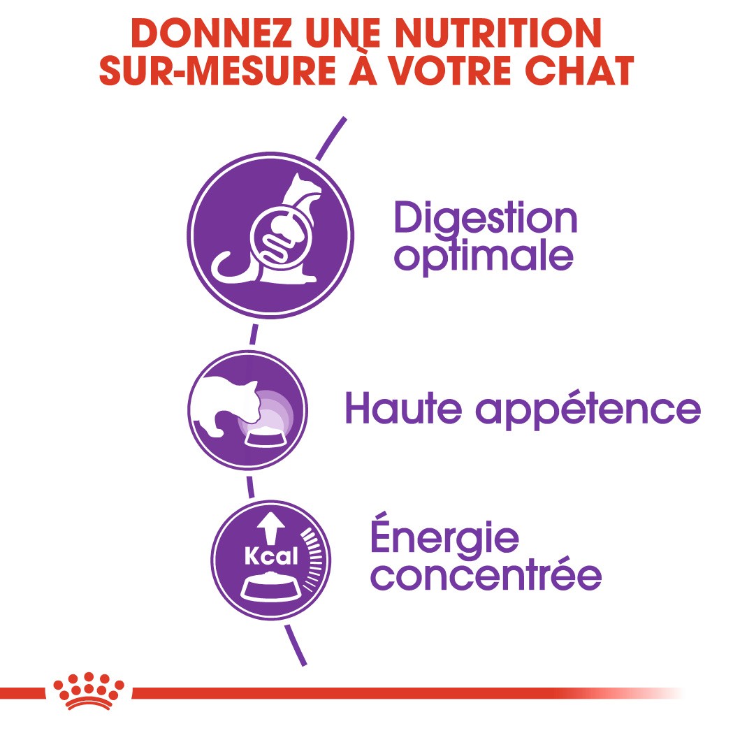 Royal Canin Sensible 33 - croquettes chat