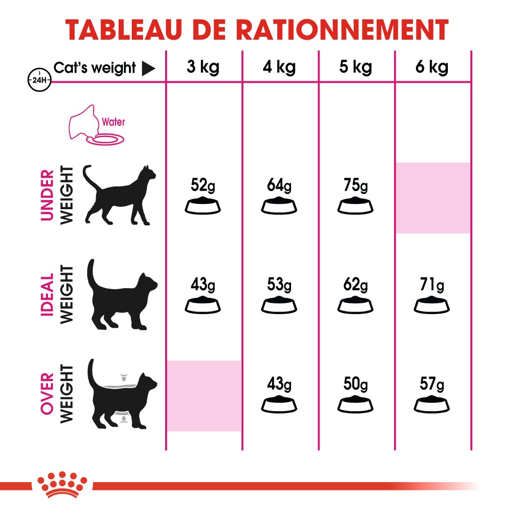 Royal Canin Protein Exigent