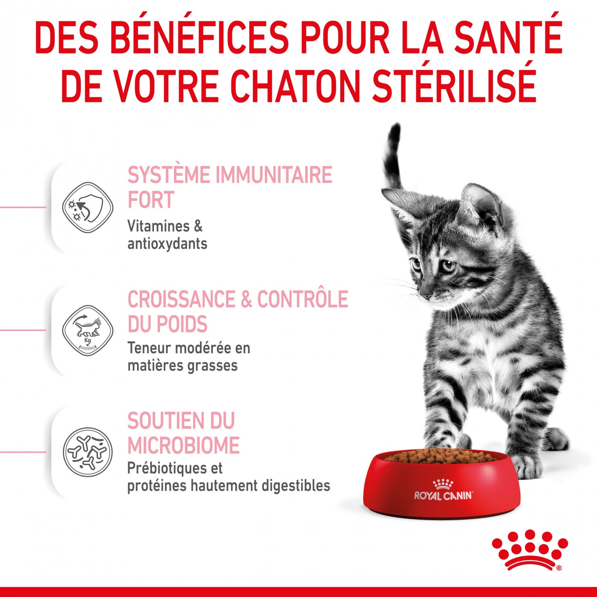Royal Canin Kitten Sterilised - croquettes chaton