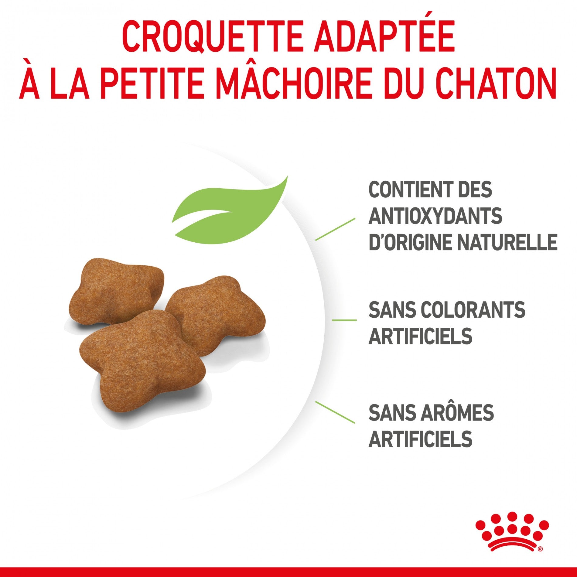 Royal Canin Kitten Sterilised - croquettes chaton
