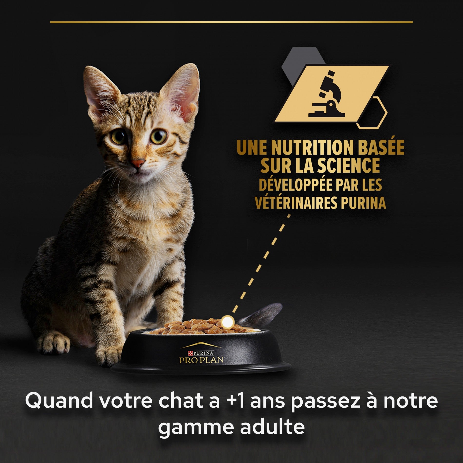 Pro Plan Healthy Start Kitten en mousse au poulet - pâtée chaton