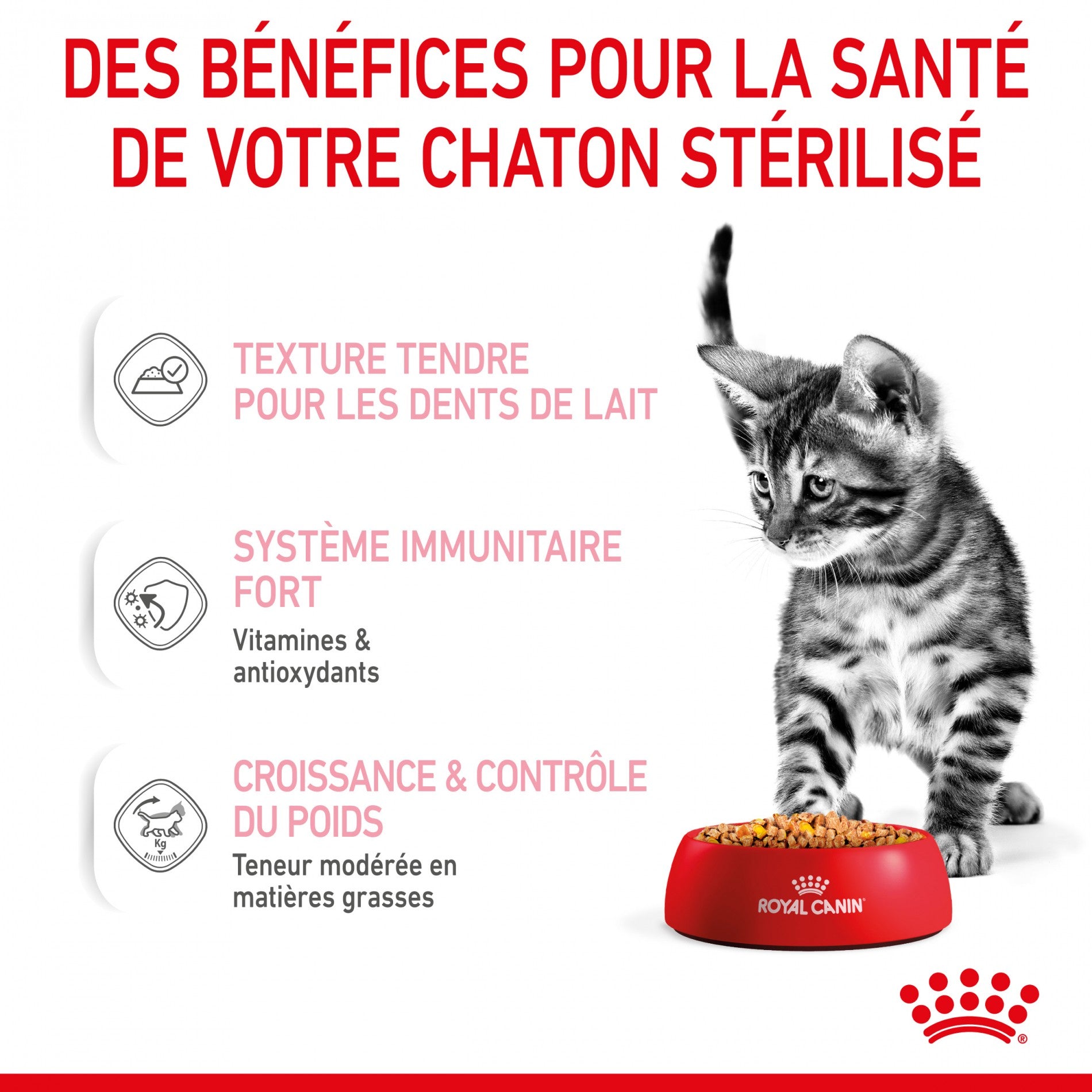 Royal Canin Kitten Sterilised gelée et sauce - pâtée chaton