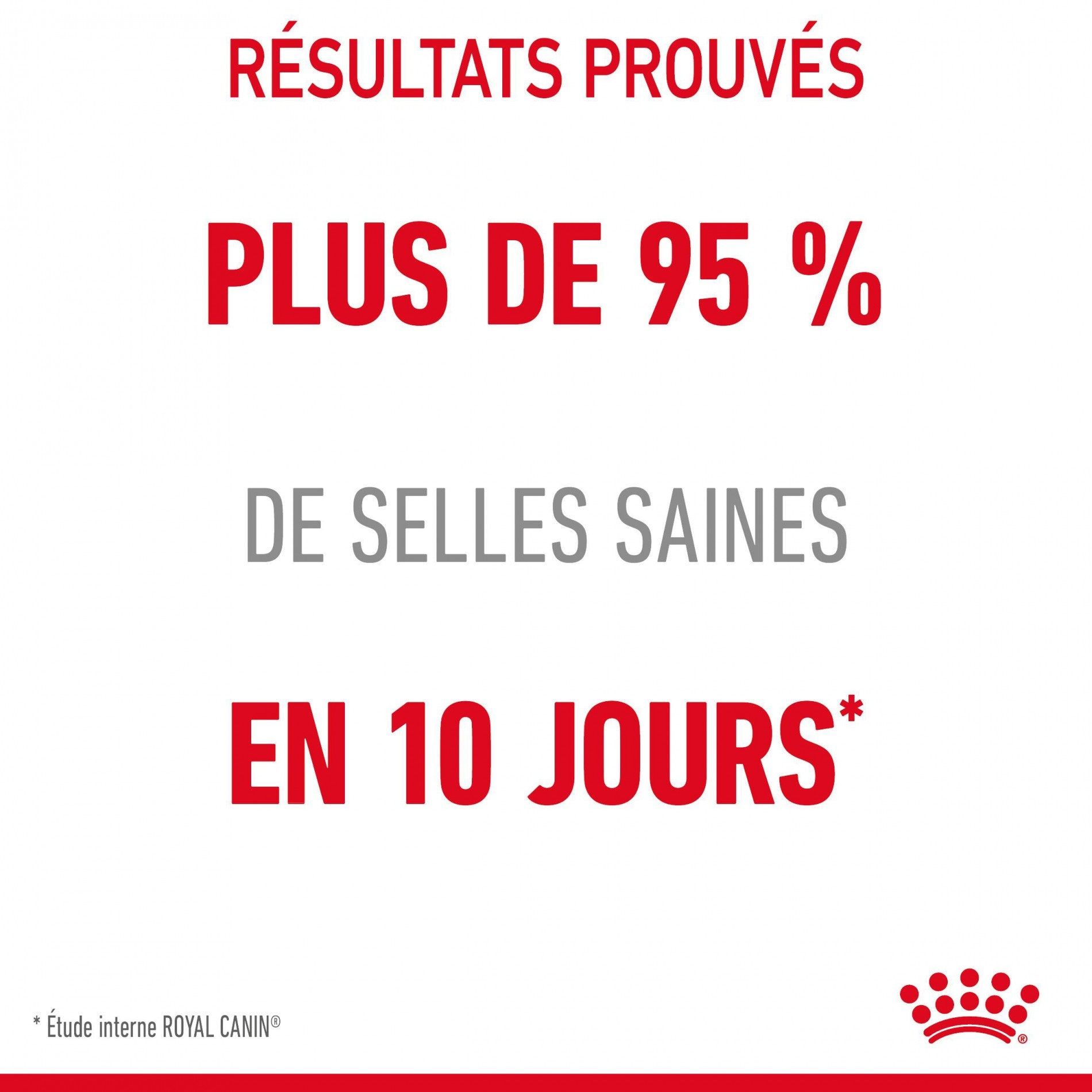 Royal Canin Digest Sensitive - pâtée chat