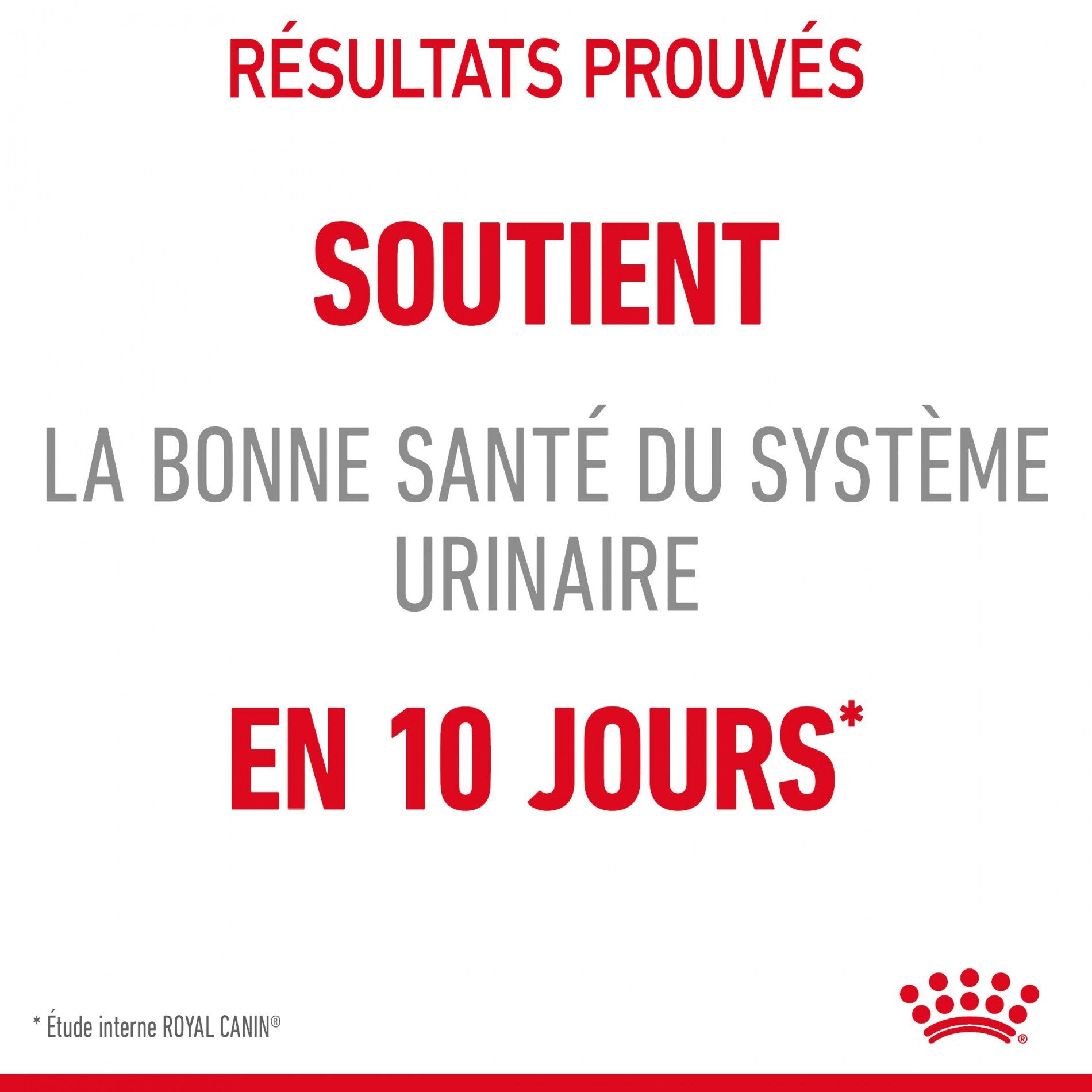 Royal canin Urinary Care en sauce - pâtée chat