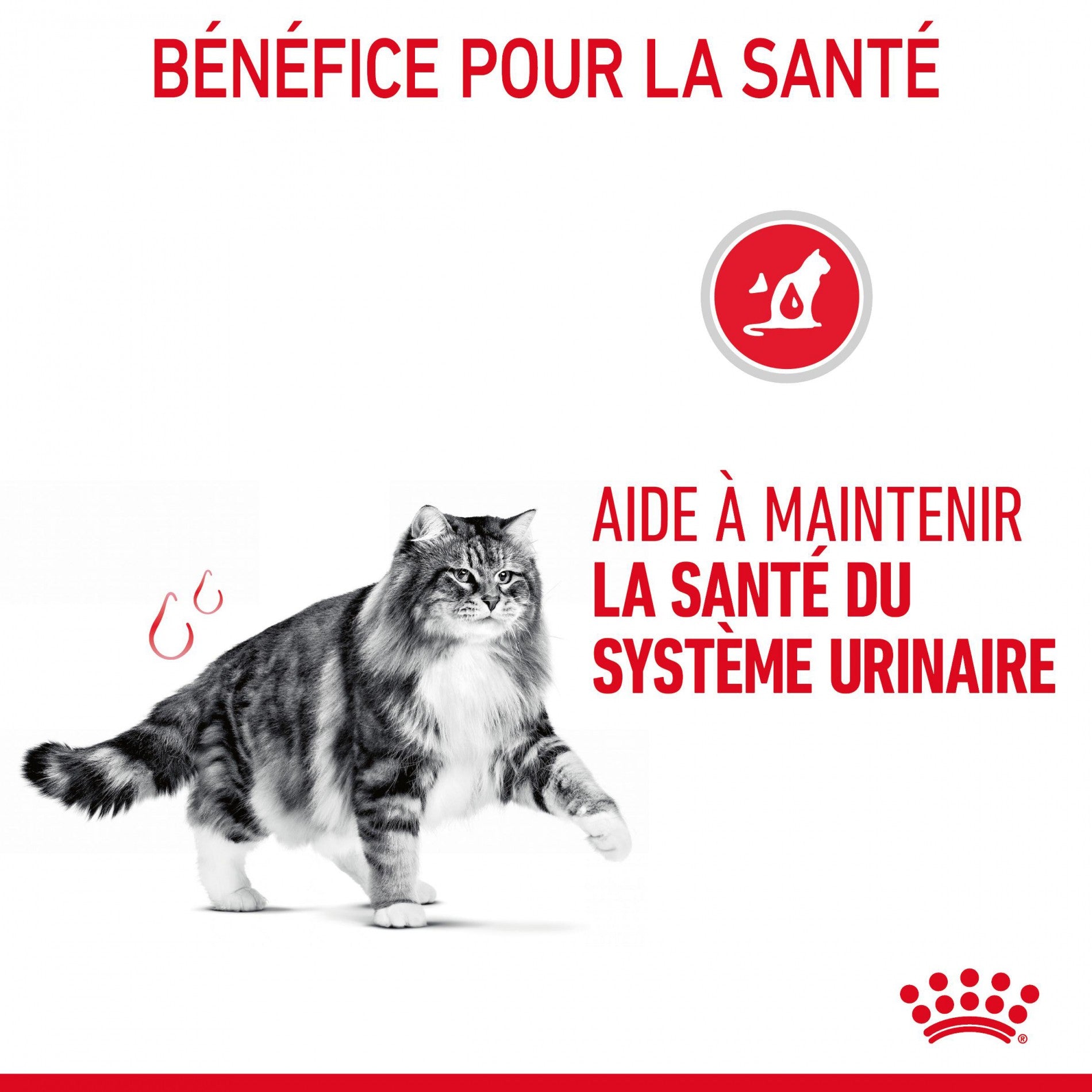 Royal canin Urinary Care en sauce - pâtée chat