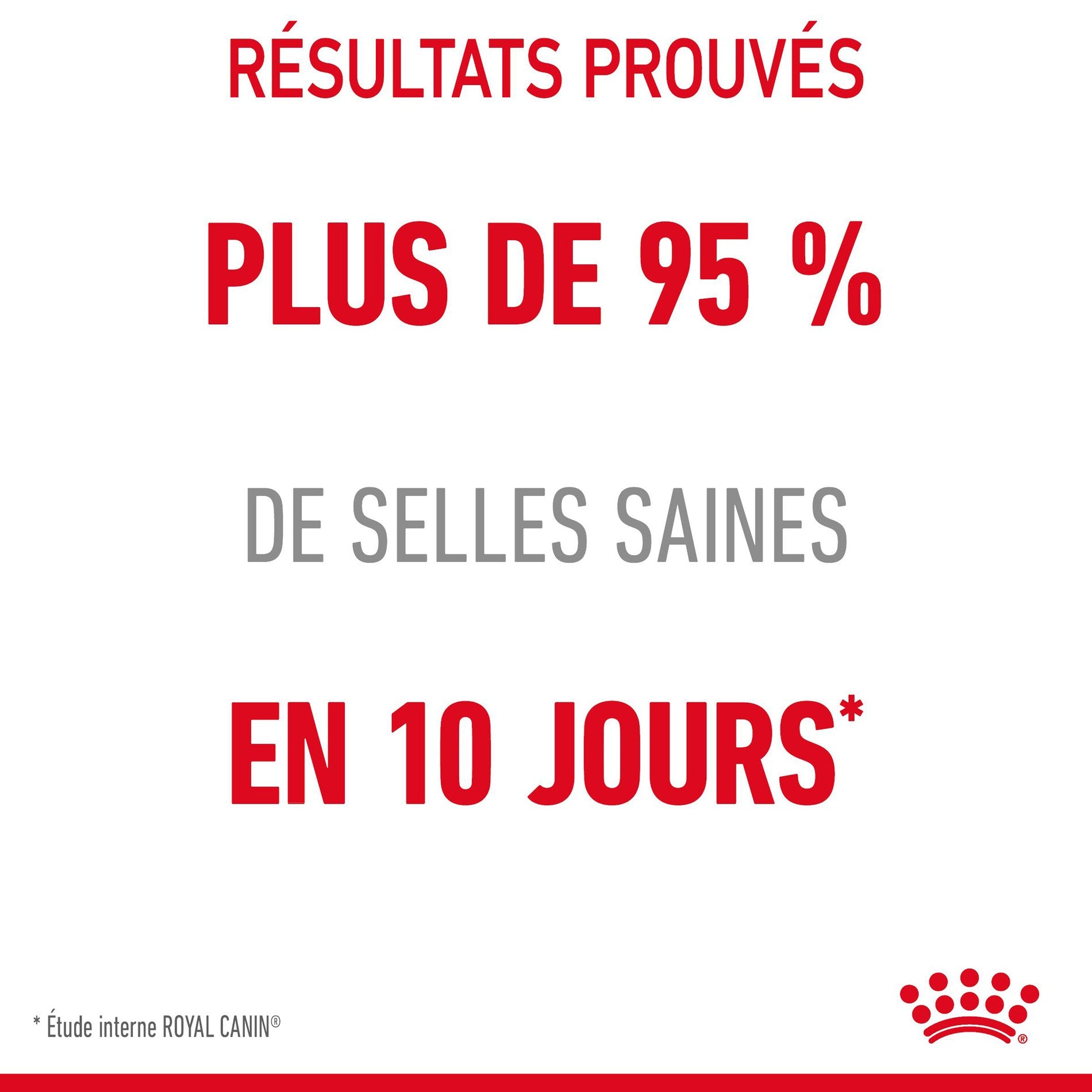Royal Canin Digestive Care en mousse - pâtée chat
