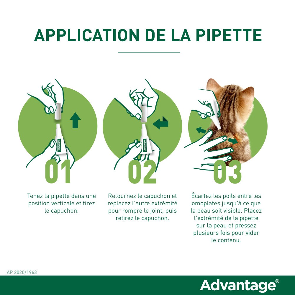 Pipettes Advantage chat, lapin