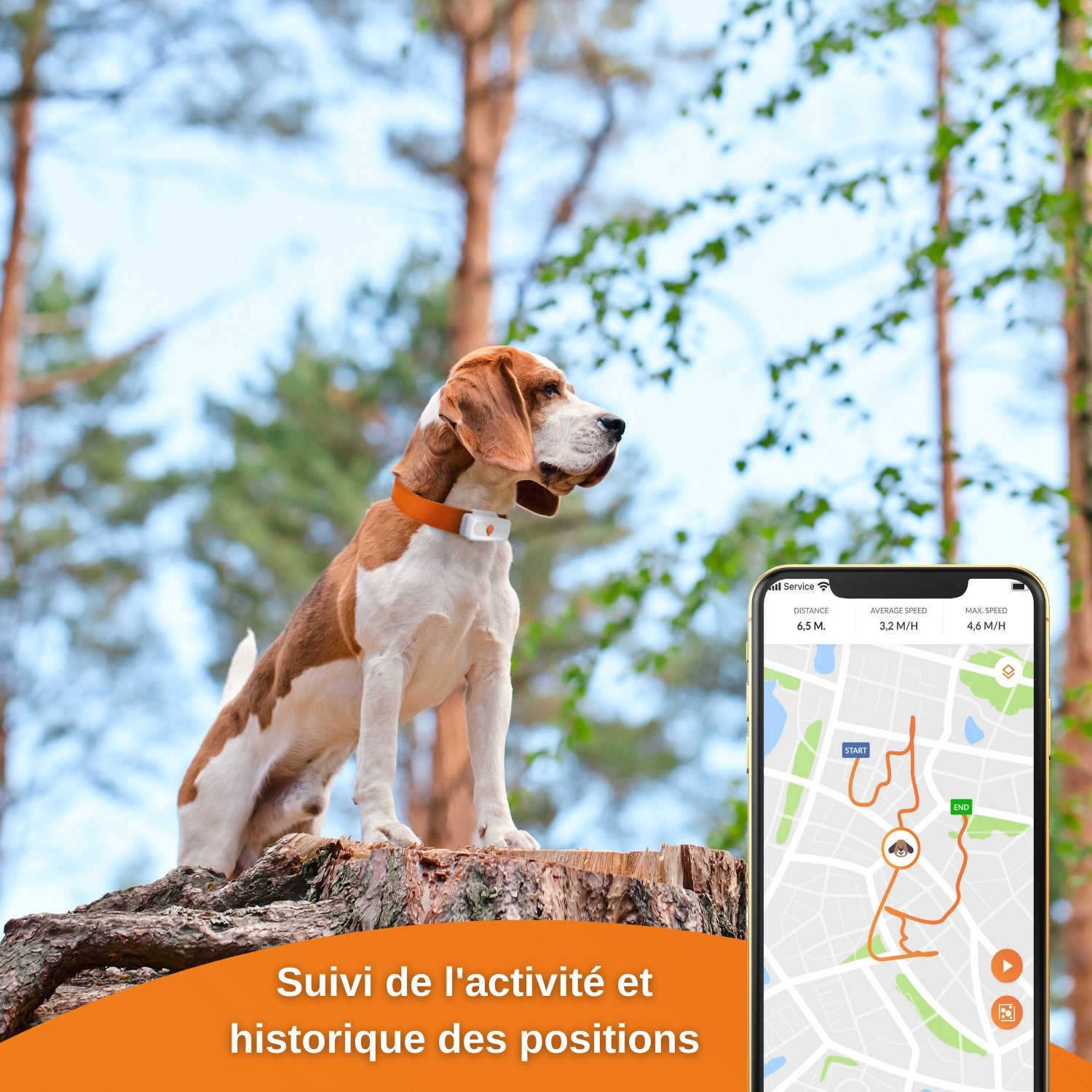Collier GPS Weenect XS Dogs - Blanc