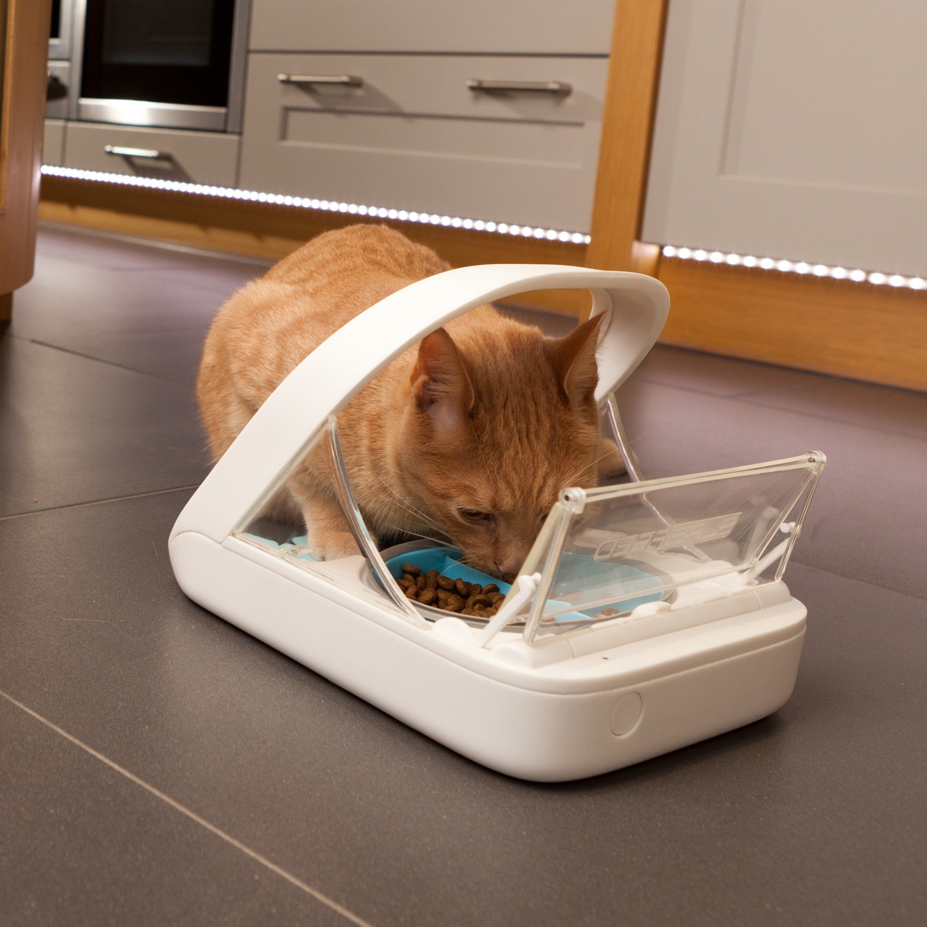 Distributeur électronique SureFeed - chat, chien