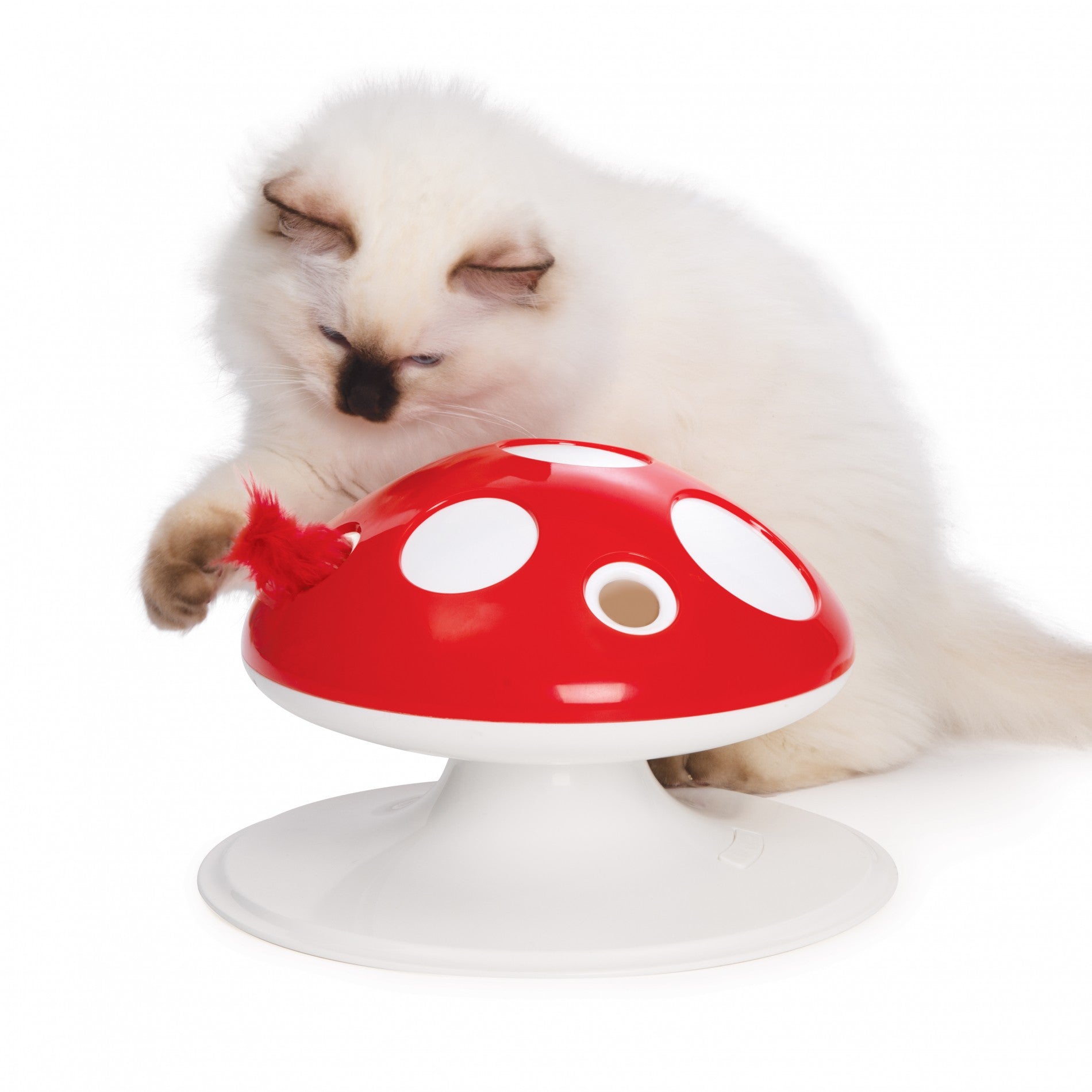 Recharge Champignon Senses 2.0 chat