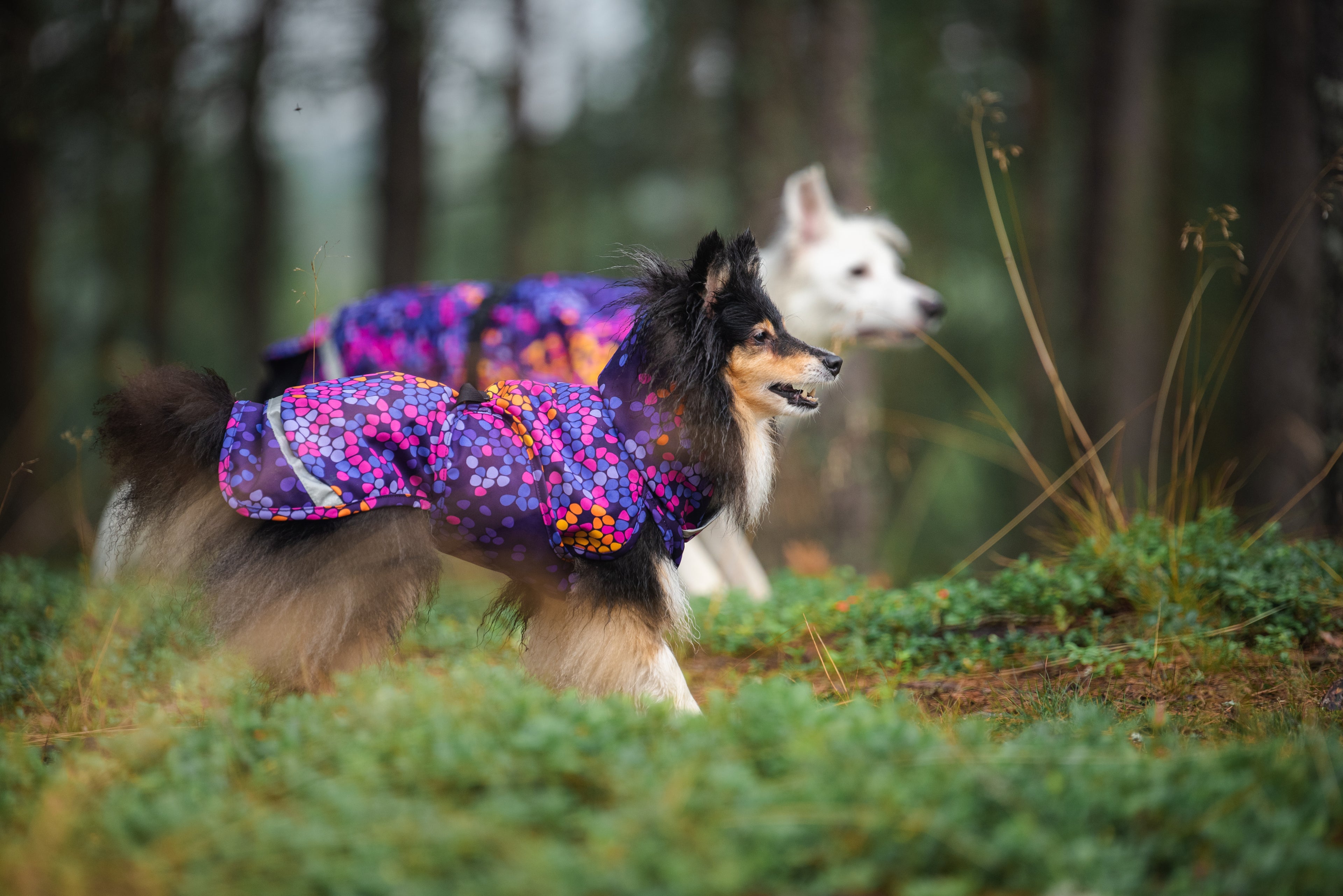 Pomppa Kevyt Cosmos manteau imperméable chien