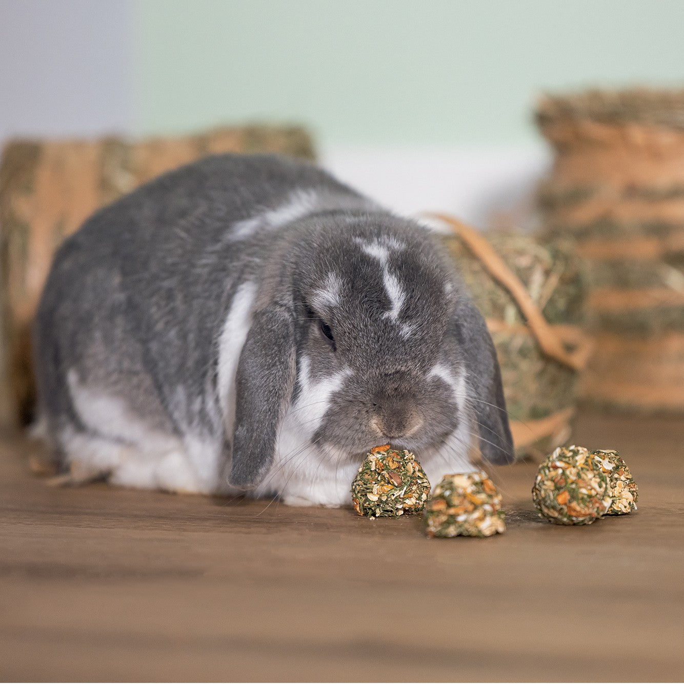 Cônes de légumes lapin, rongeur
