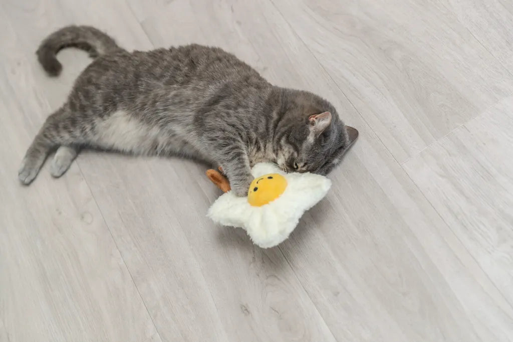 Jouet peluche oeuf au plat XXL - Chat