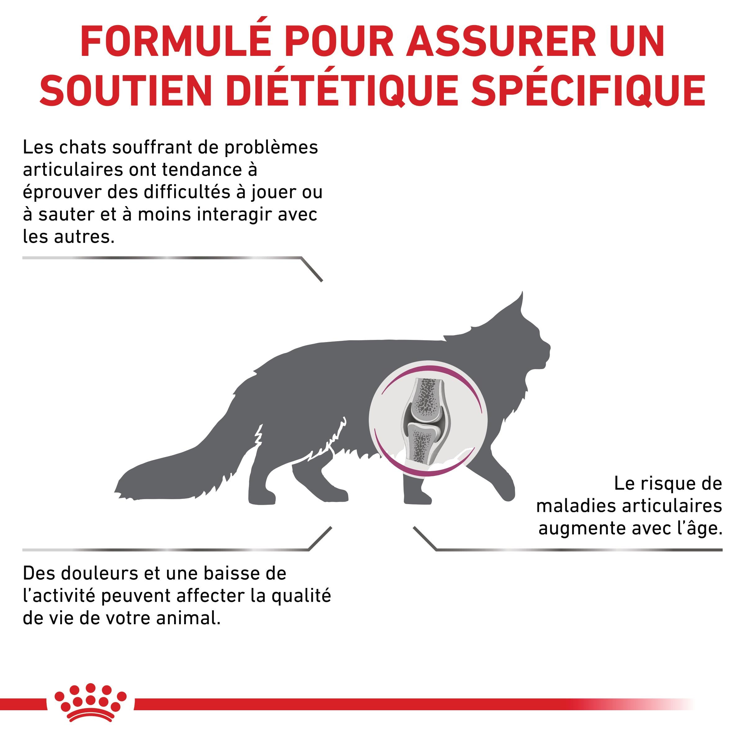 Royal Canin Veterinary Mobility - croquettes chat