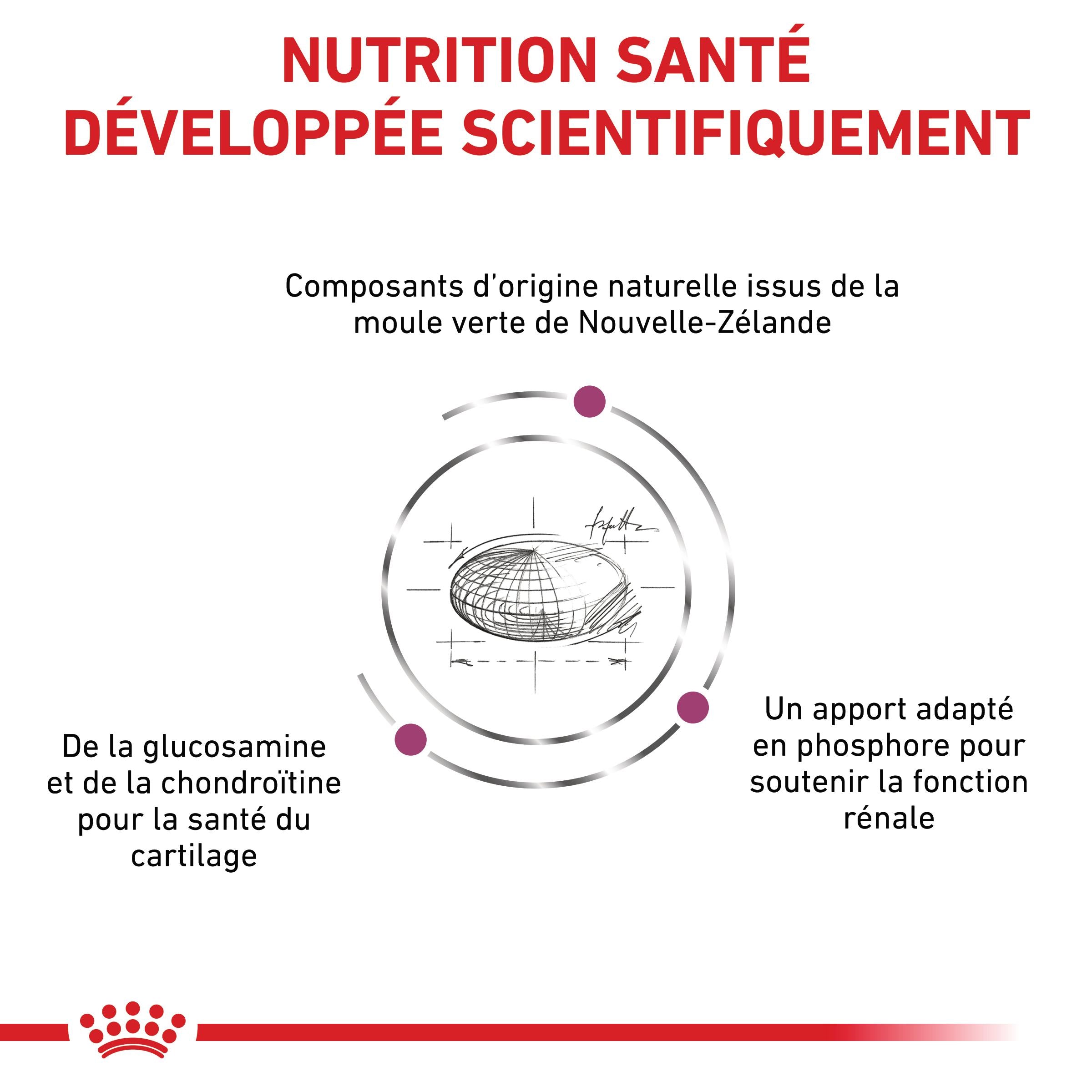 Royal Canin Veterinary Mobility - croquettes chat