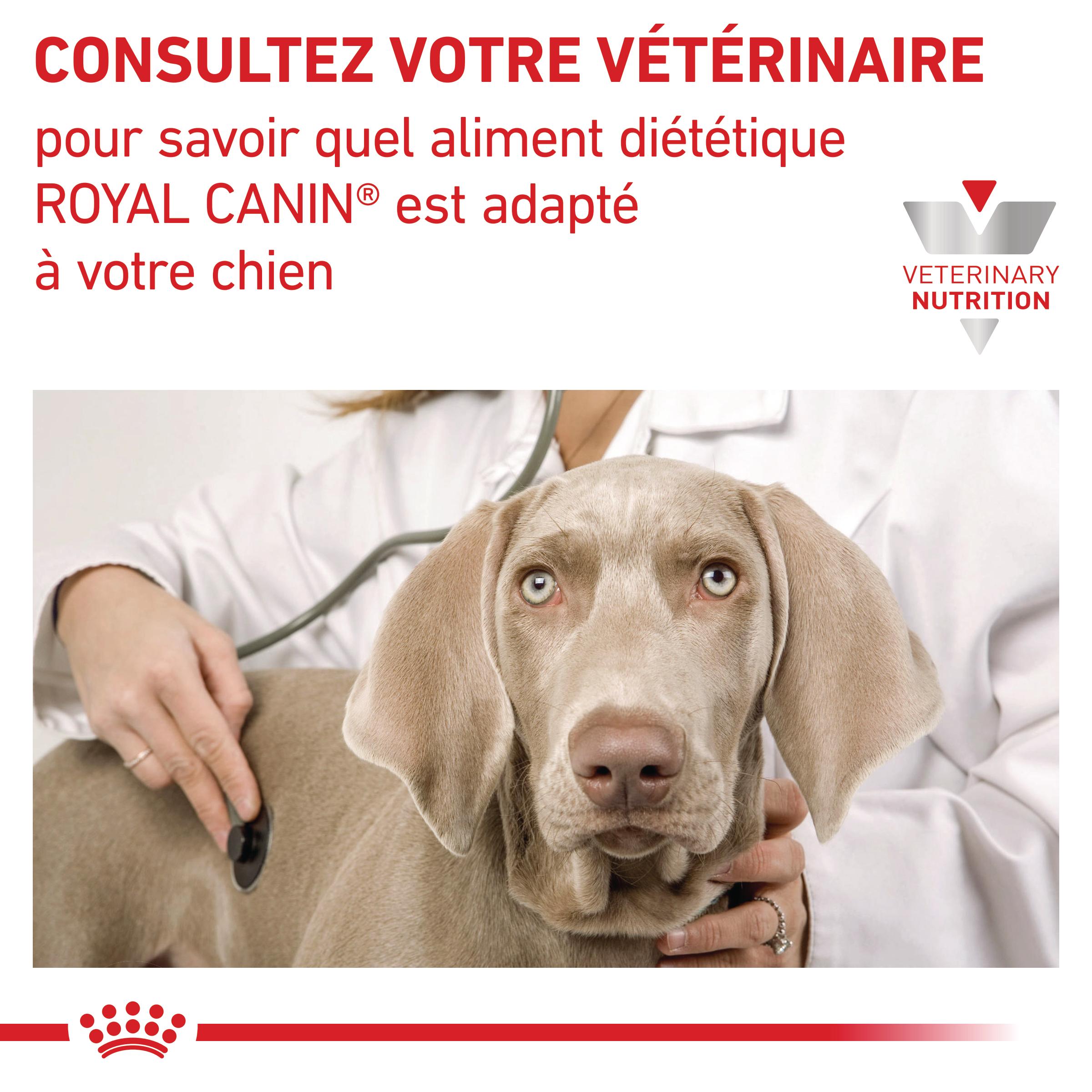 Royal Canin Veterinary Renal Select - croquettes chien