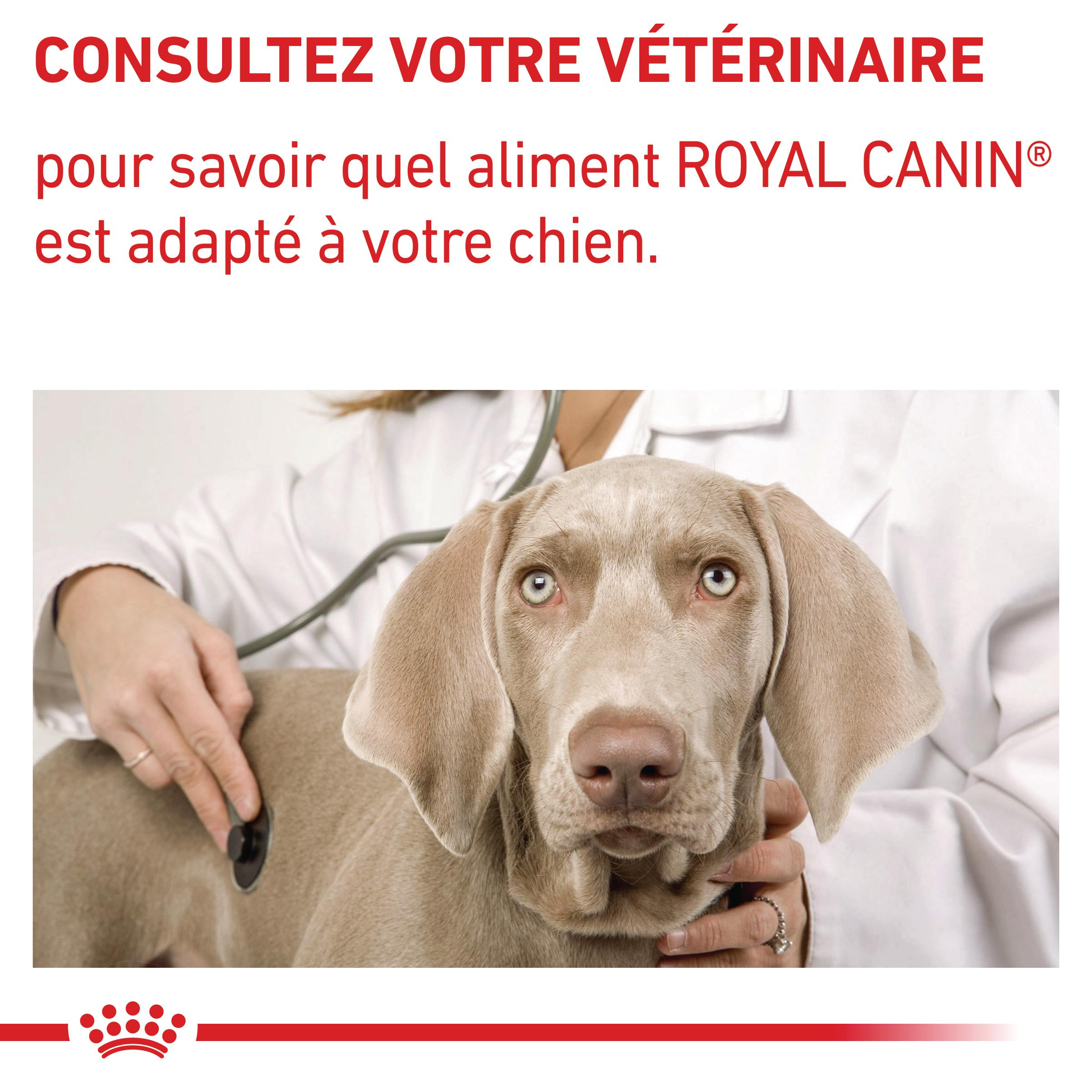 Royal Canin Veterinary Dog Adult - Pâtée pour chien
