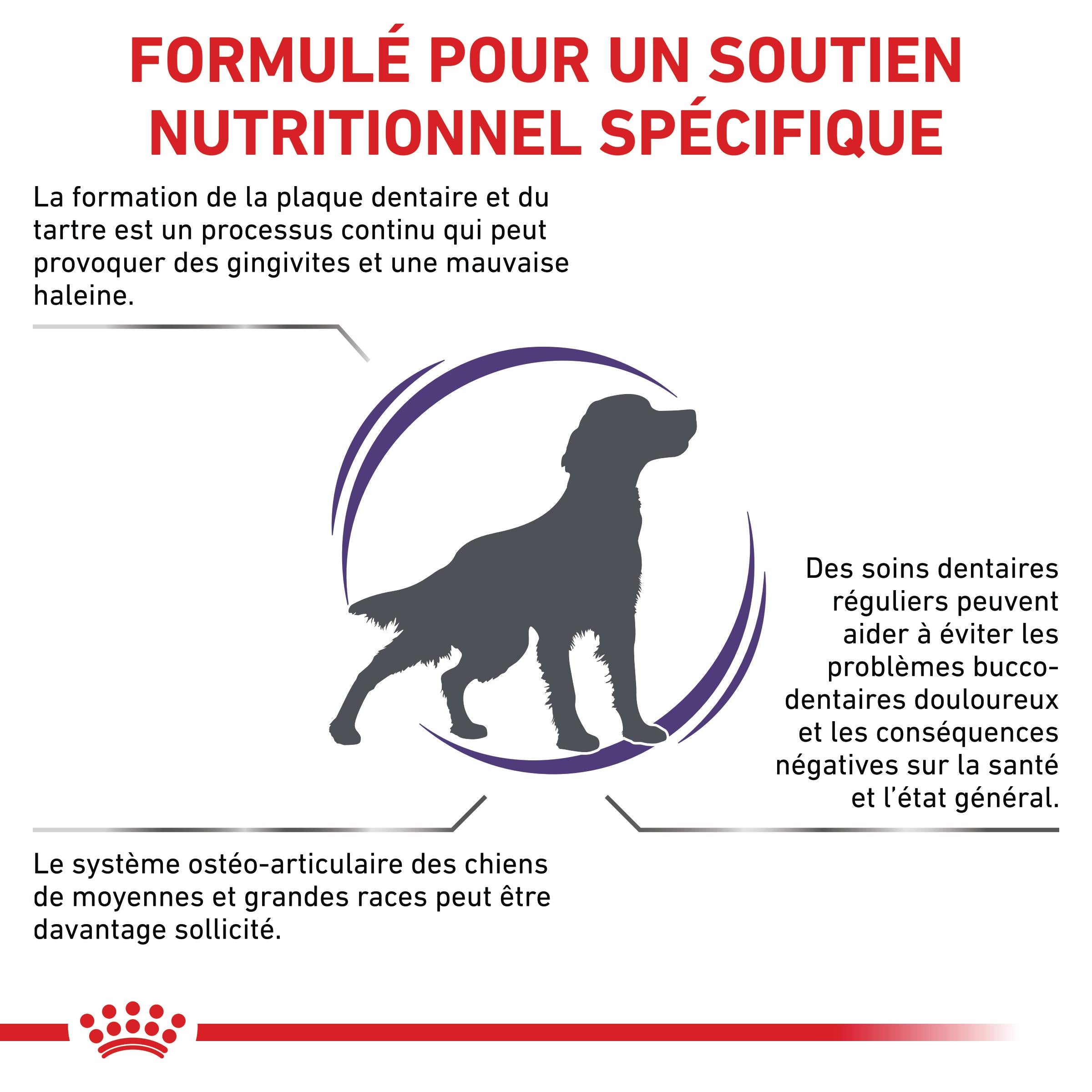 Royal Canin Veterinary Dental Medium & Large Dogs - croquettes chien