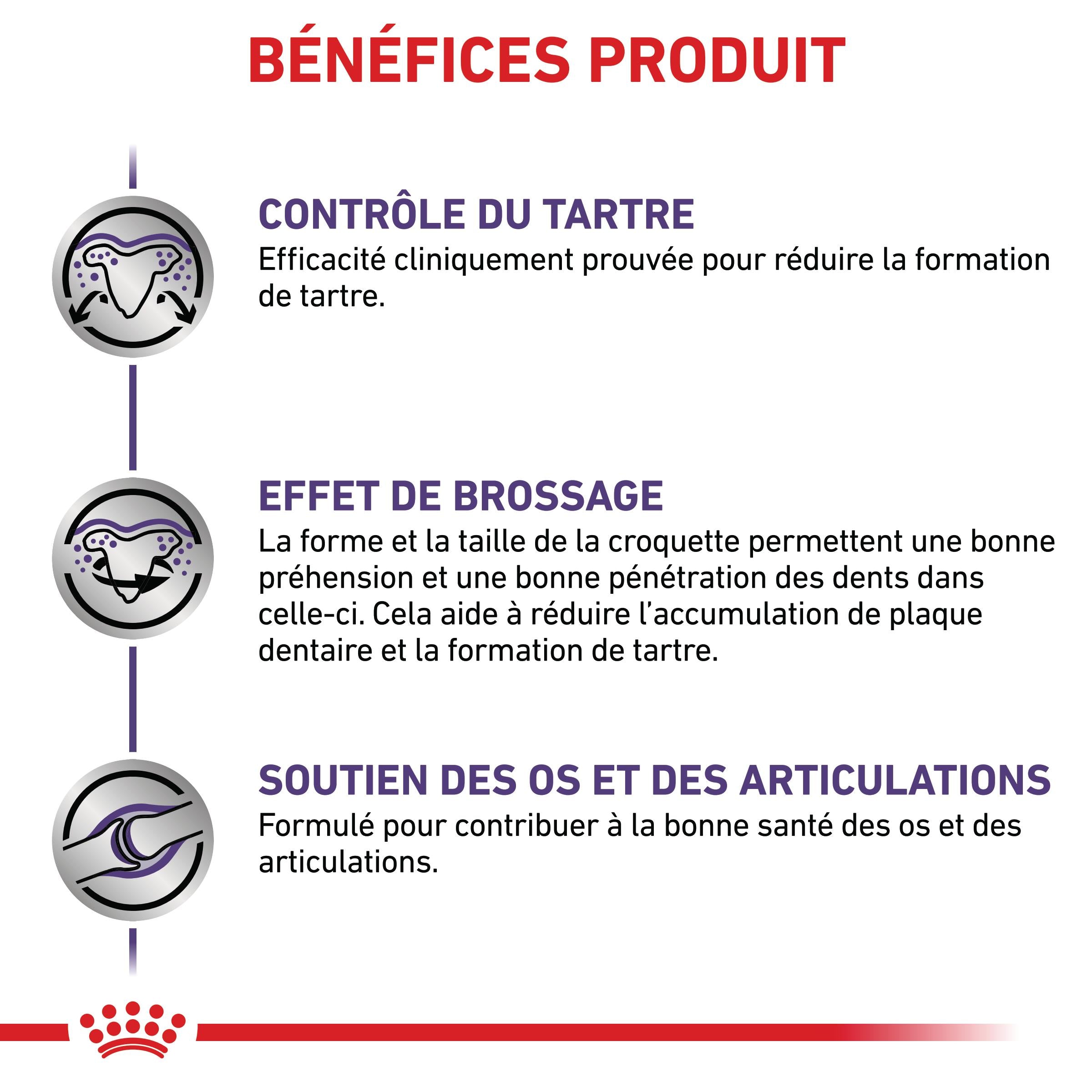 Royal Canin Veterinary Dental Medium & Large Dogs - croquettes chien