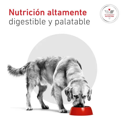 Royal Canin Glycobalance - croquettes chien