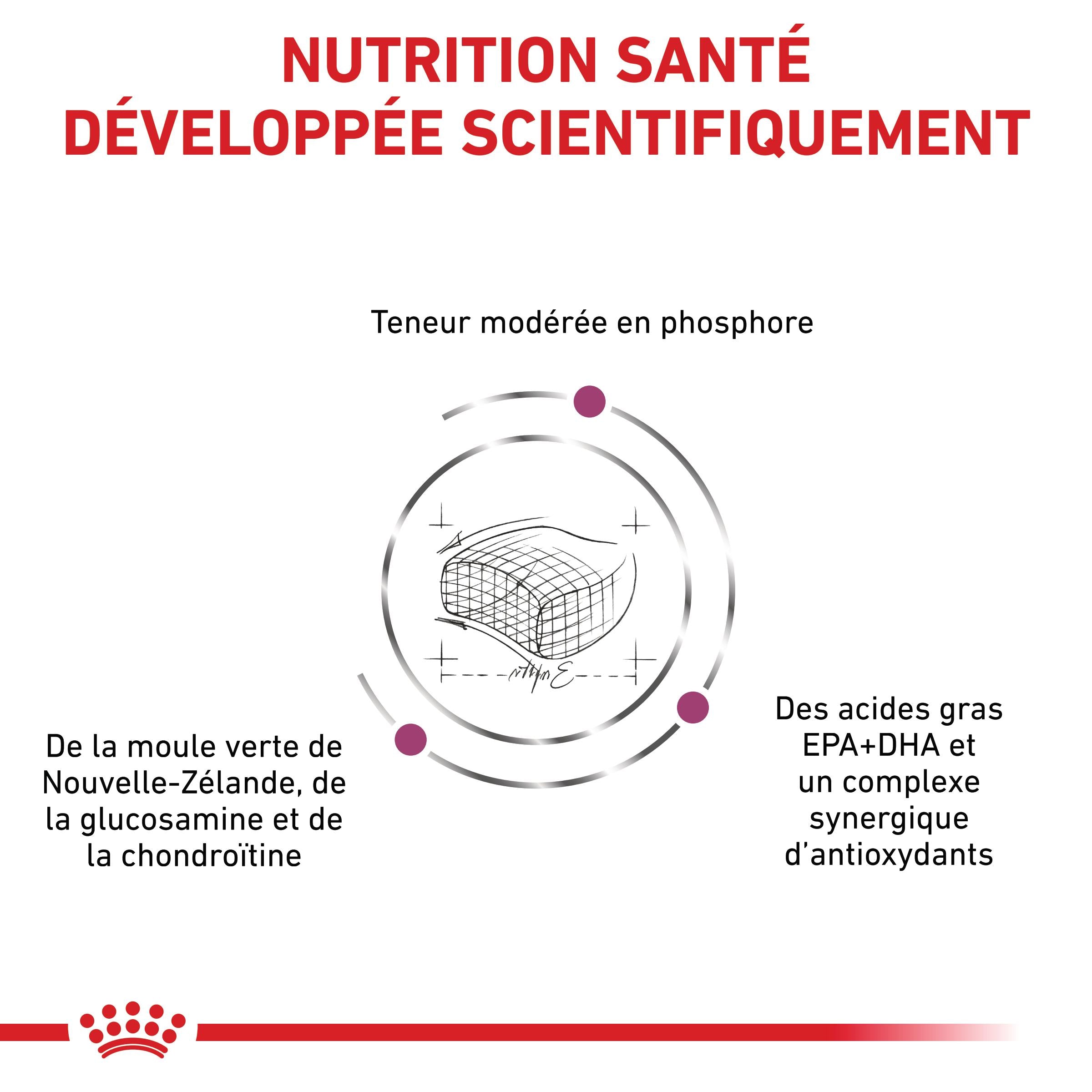 Royal Canin Veterinary Early Renal - aliment chat