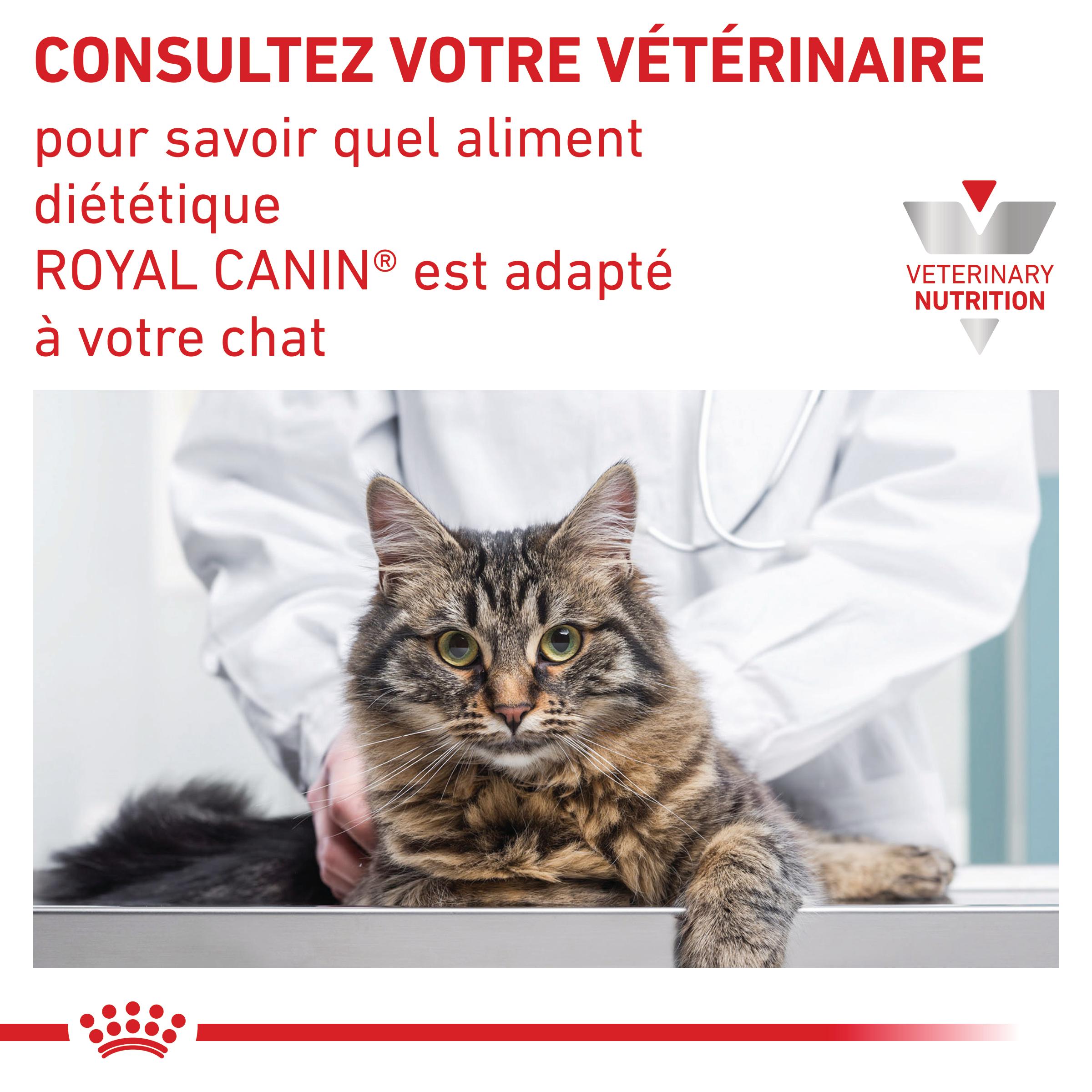 Royal Canin Veterinary Urinary S/O - aliment chat