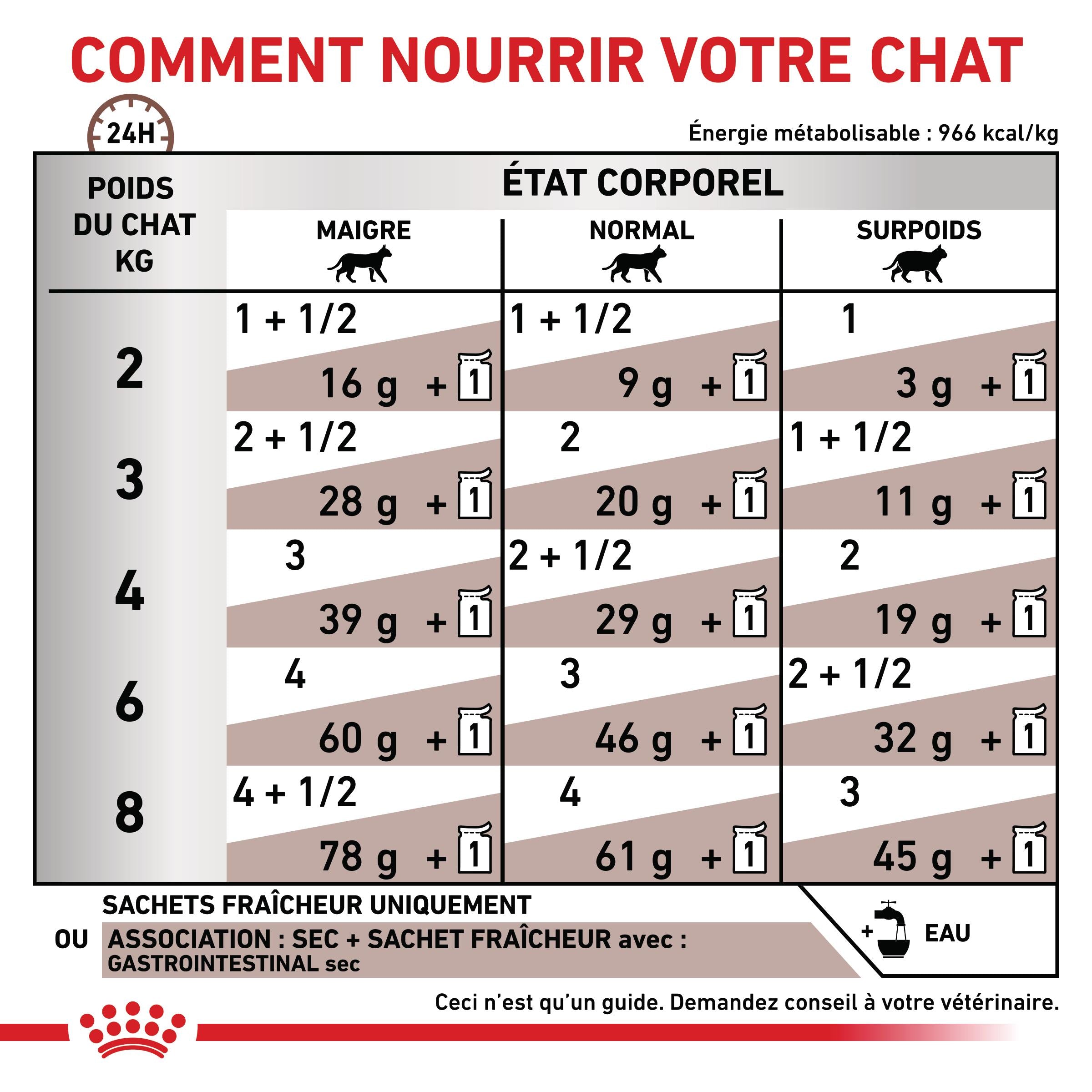 Royal Canin Veterinary Gastrointestinal - croquettes chat