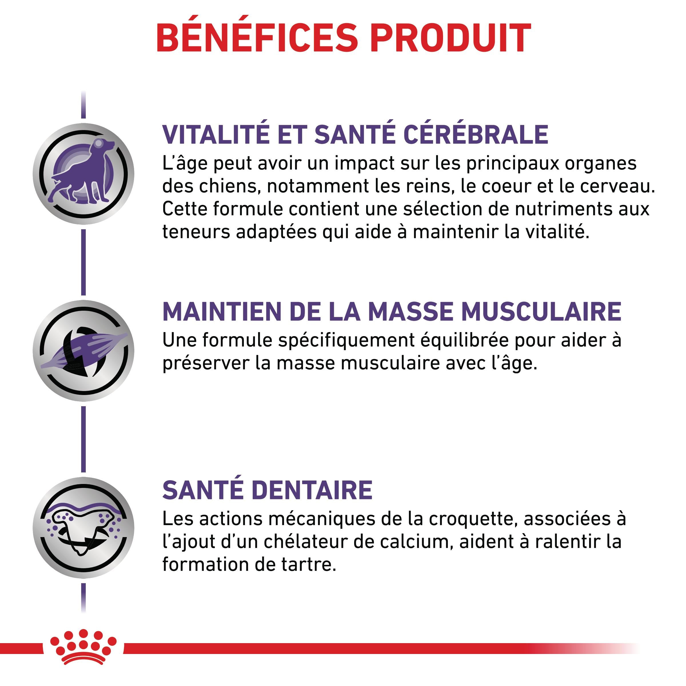Royal Canin Vet Care Mature Small Dog / Mature Consult Small Dogs - croquettes chien