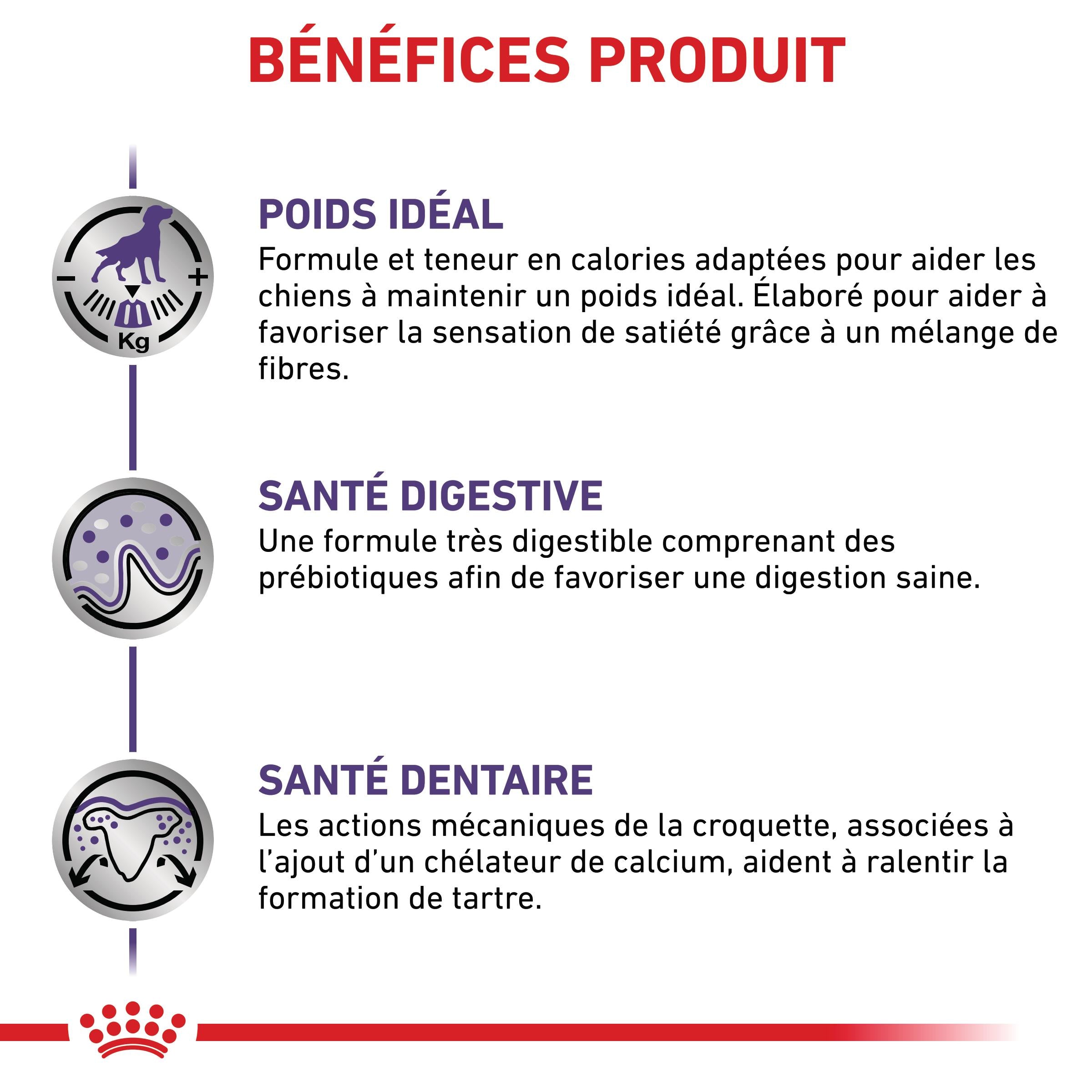 Royal Canin Veterinary Neutered Adult Small Dog - croquettes chien