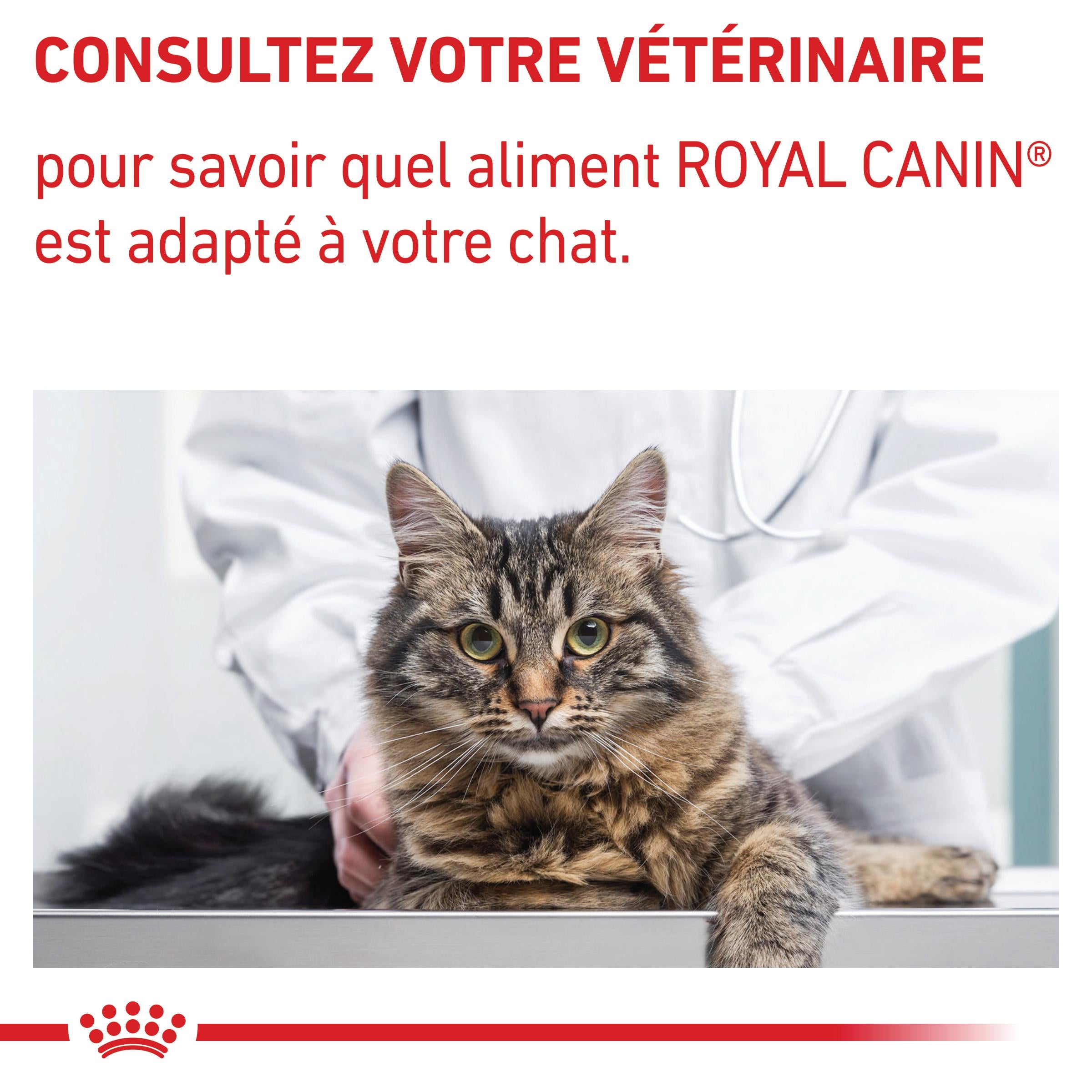 Royal Canin Neutered Balance - pâtée chat