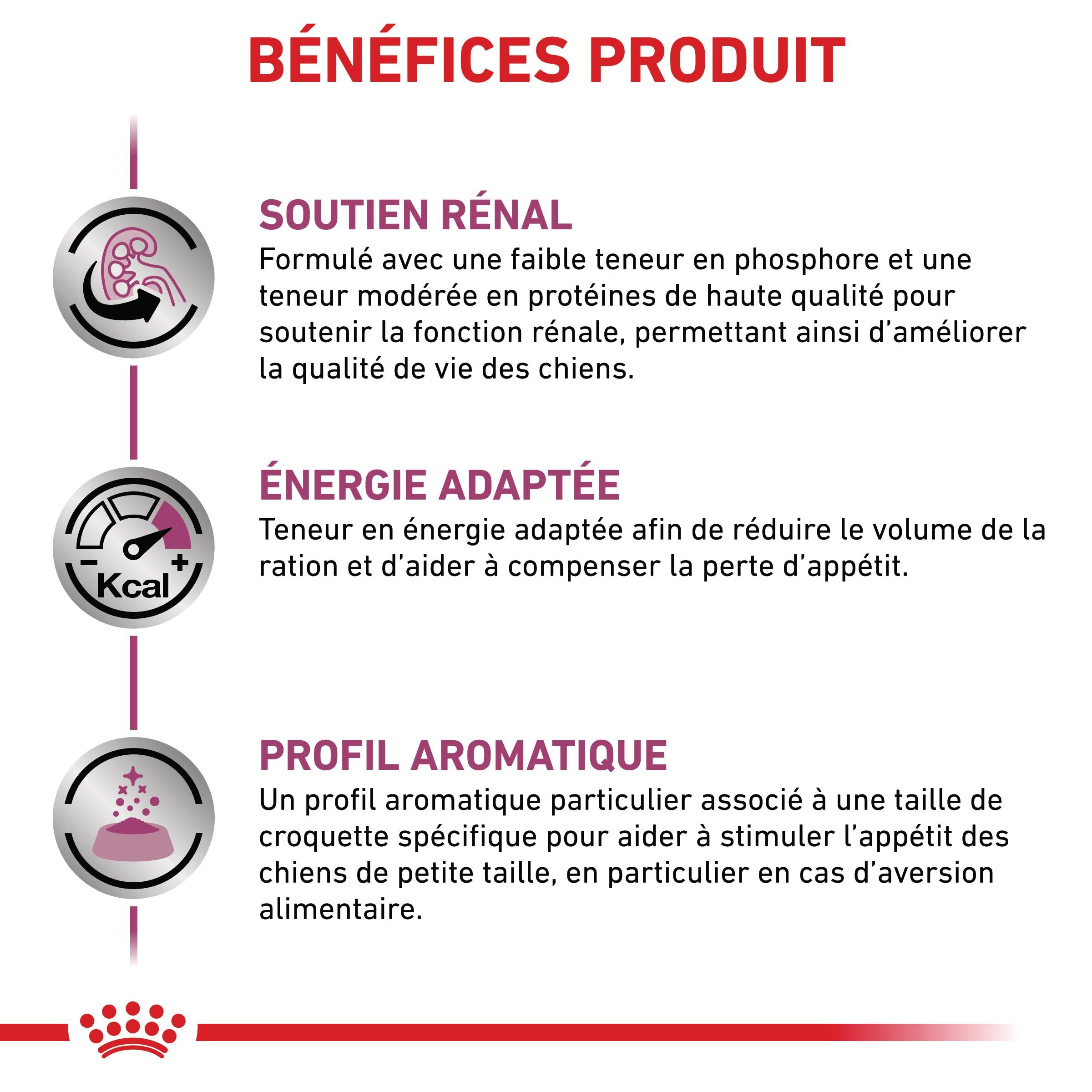Royal Canin Veterinary Renal Small Dog - croquettes chien