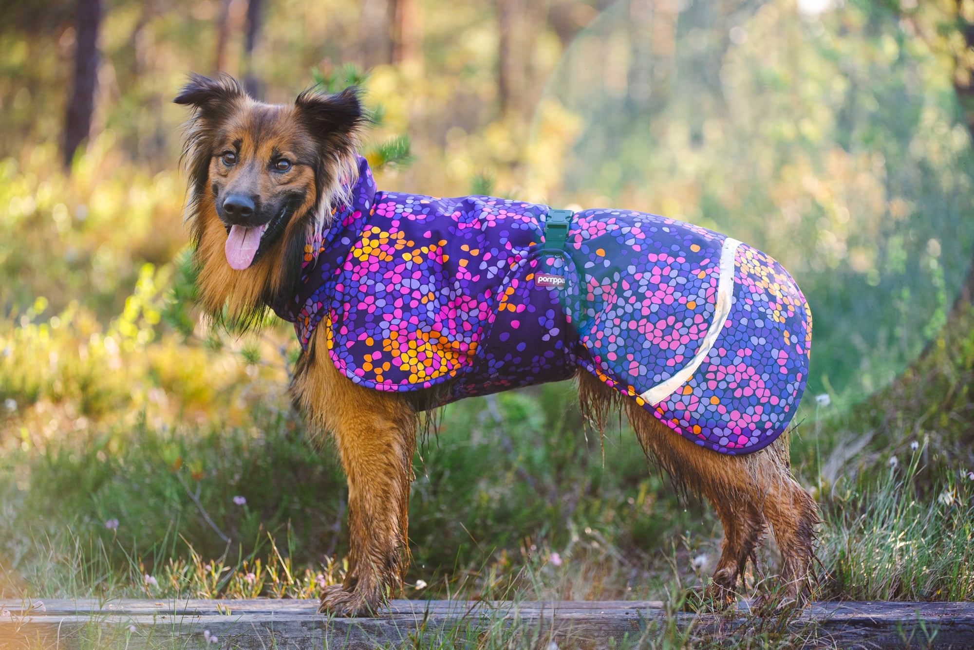 Pomppa Toppa Cosmos manteau imperméable doublé pour chien