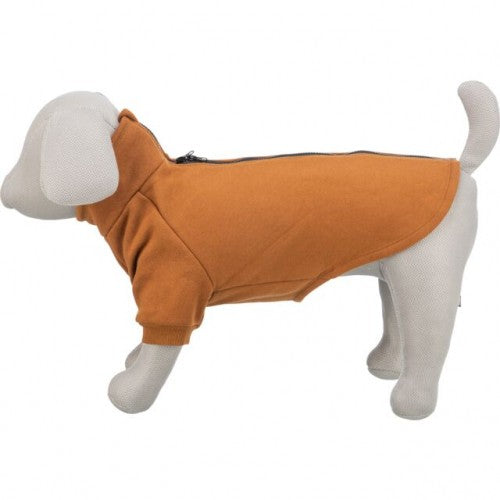 Sweat CityStyle Amsterdam - Orange rouille