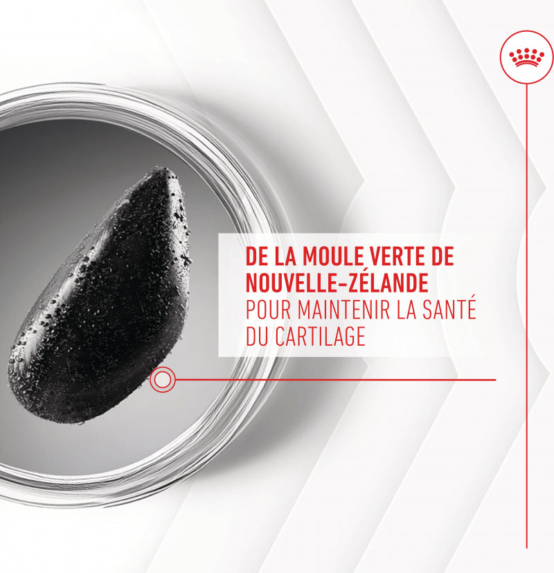 Aliment complémentaire Joint & Ageing Chews pour chien