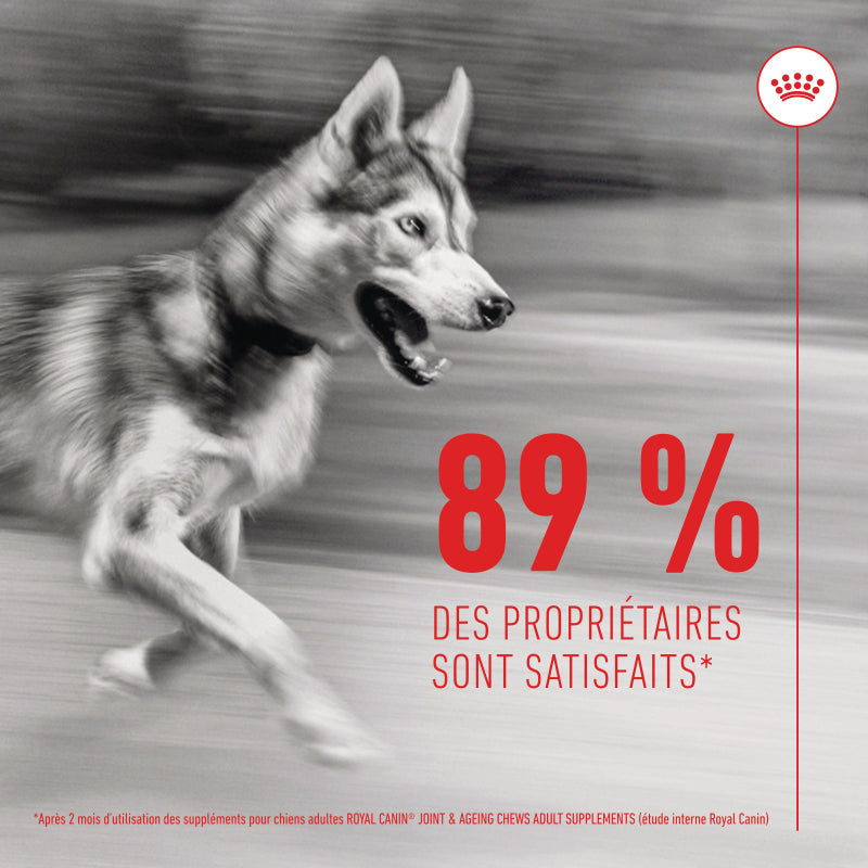 Aliment complémentaire Joint & Ageing Chews pour chien