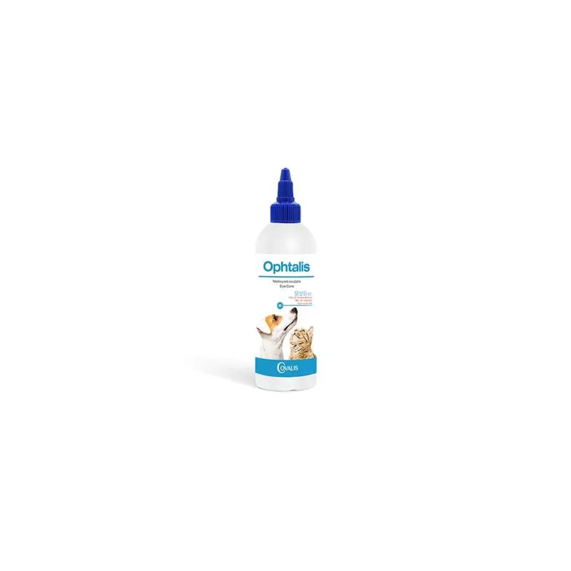 Ophtalis chien, chat