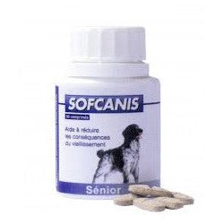 Sofcanis Chien Sénior